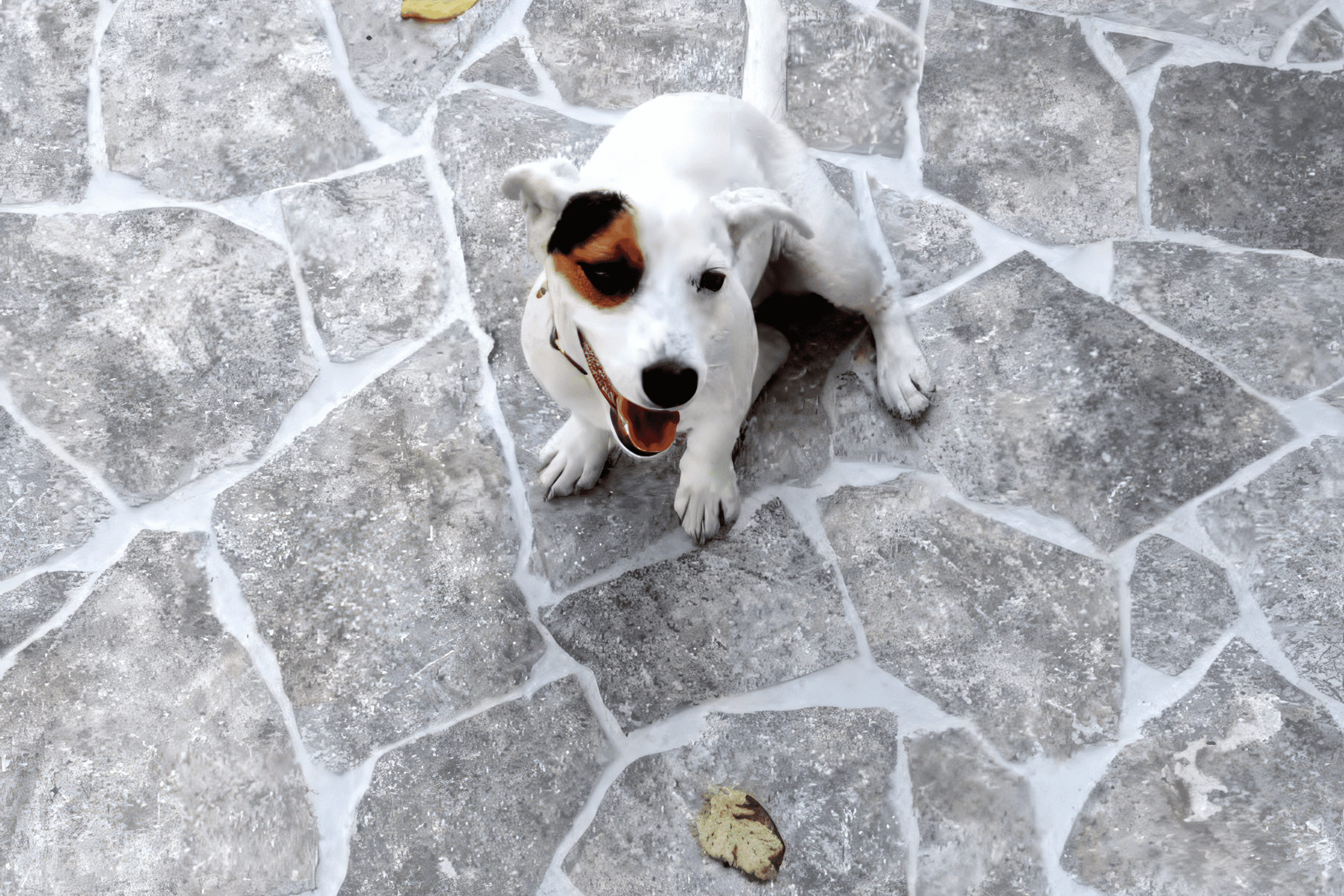 Silver Travertine Crazy Paving