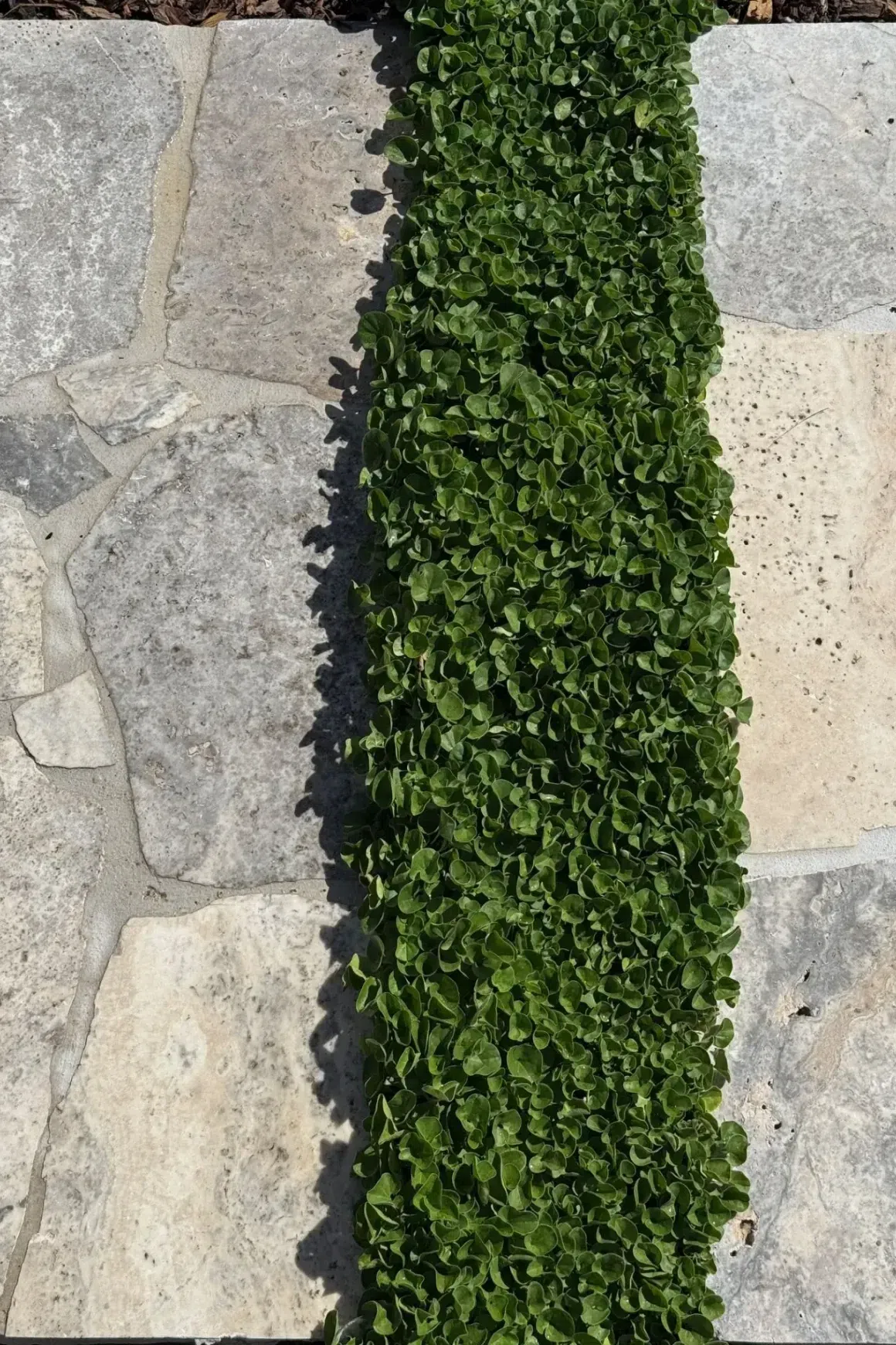 Silver Travertine Crazy Paving