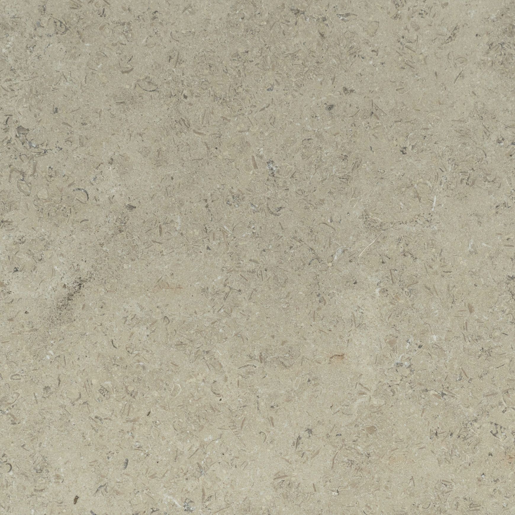 Sinai Pearl Brushed Limestone Tiles
