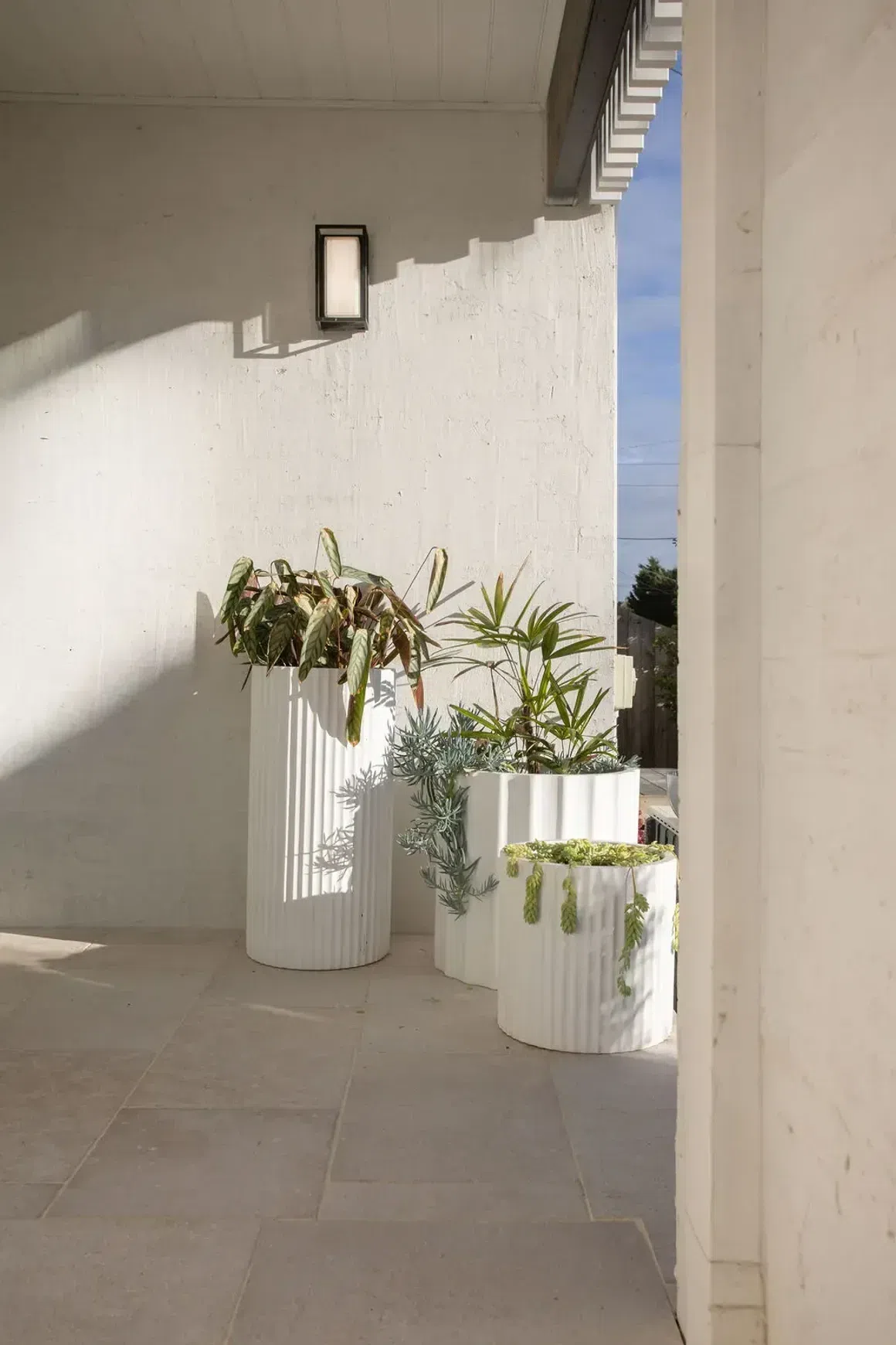 Haven Limestone Tiles