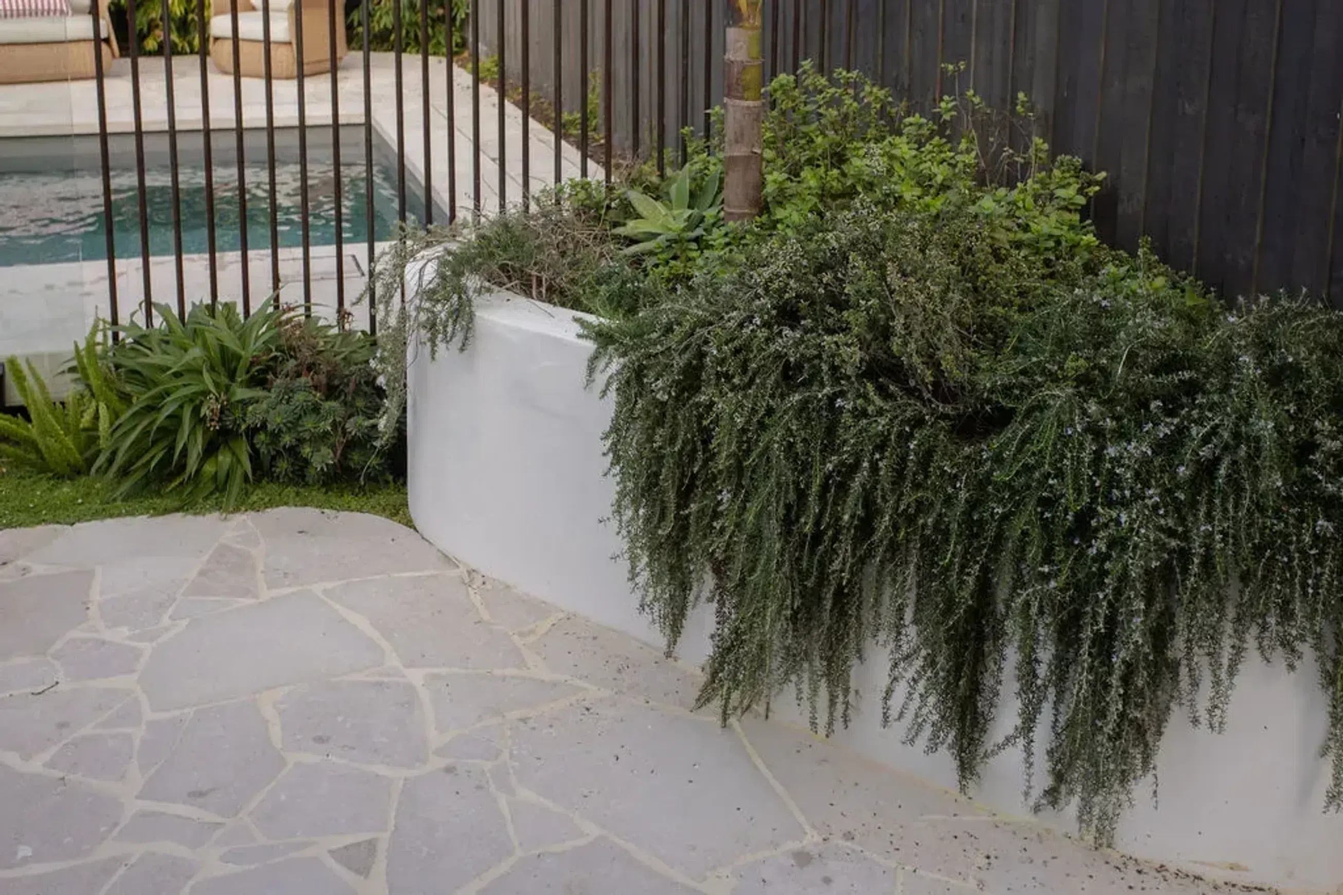 Haven Limestone Crazy Paving