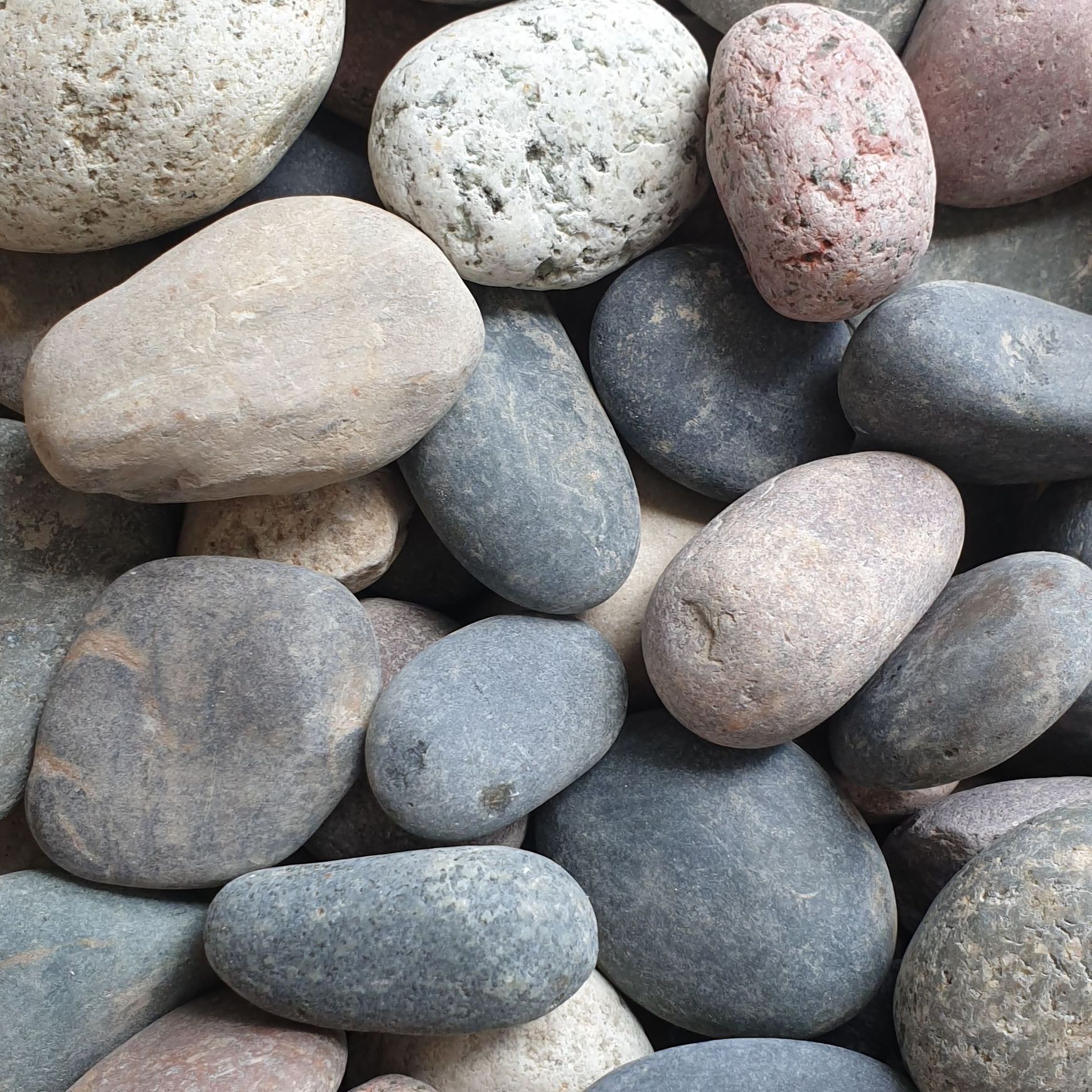 Stoneyard Haus Blend Pebbles