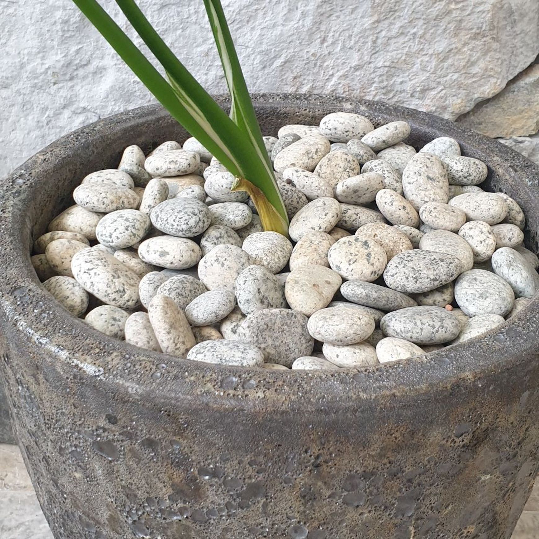 Stoneyard Speckled Pebbles