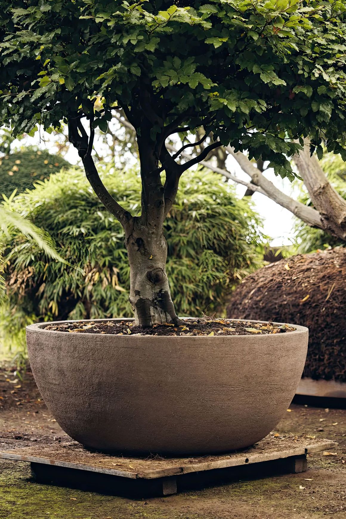 Texel Planter