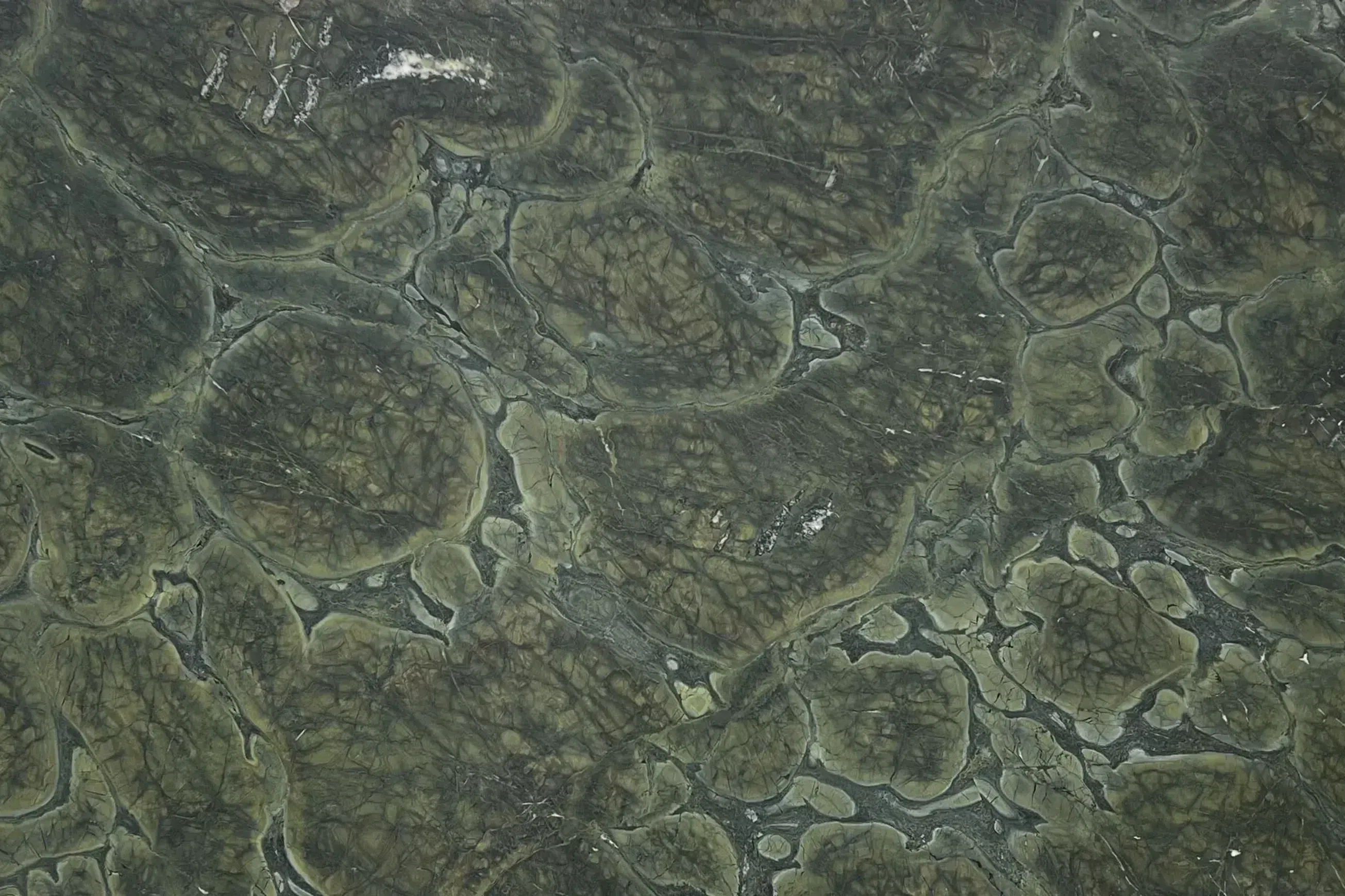 Vivid Green Quartzite Benchtop