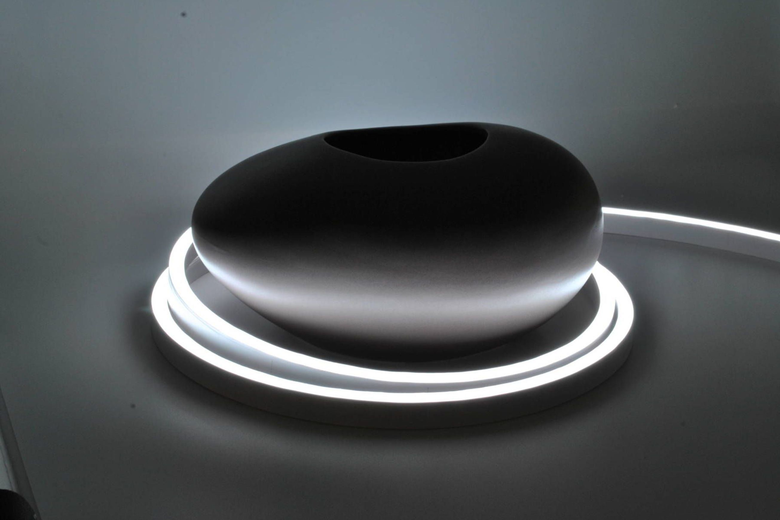 Python Snake Light