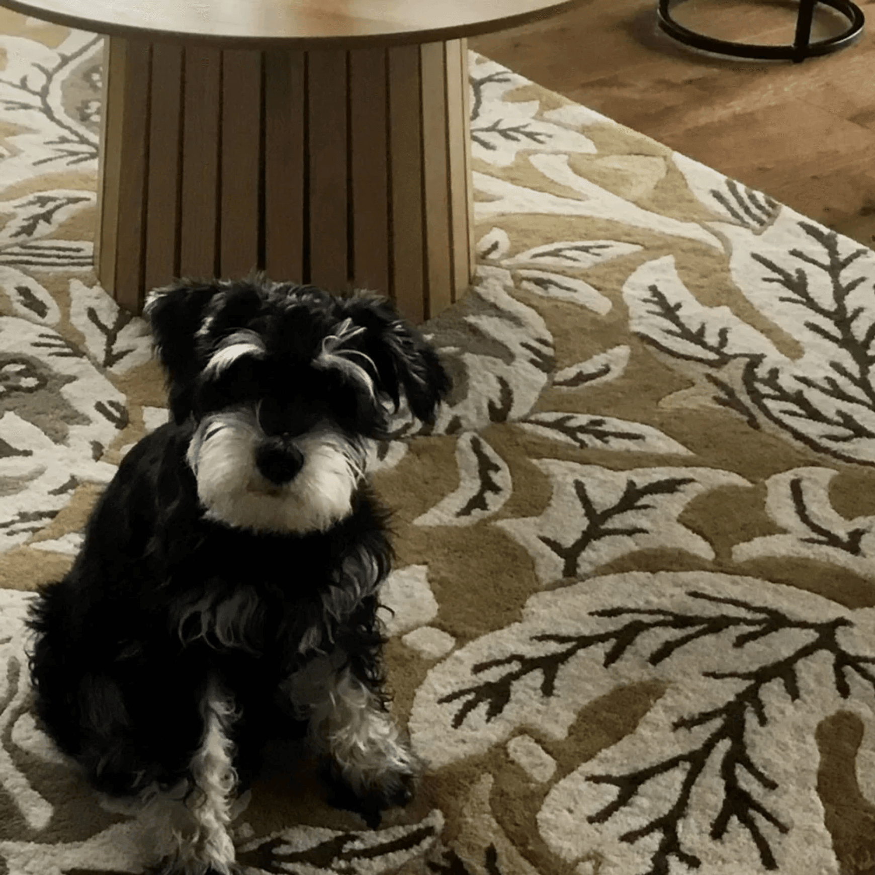 Rugs by Lahood