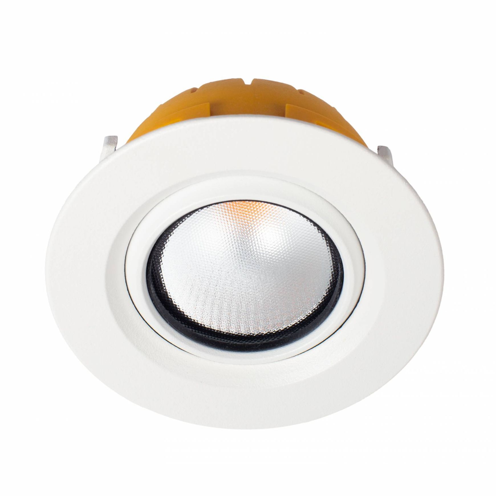 ZELA Tiltz Downlight