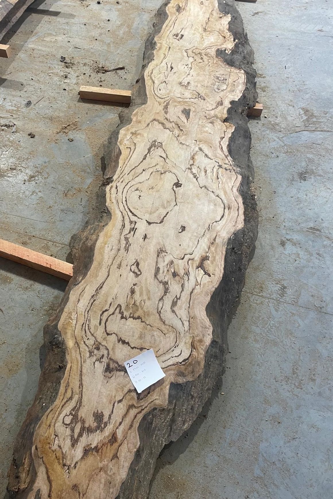 Eucalyptus Slabs
