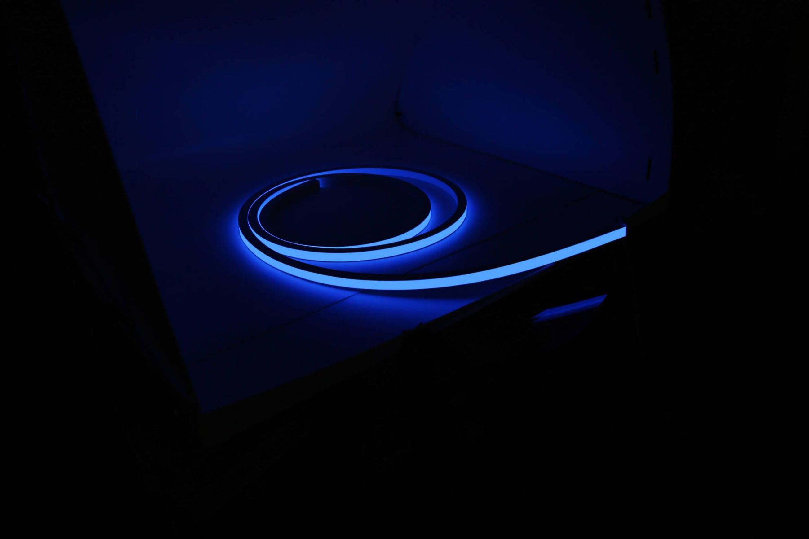 Mamba Snake Light