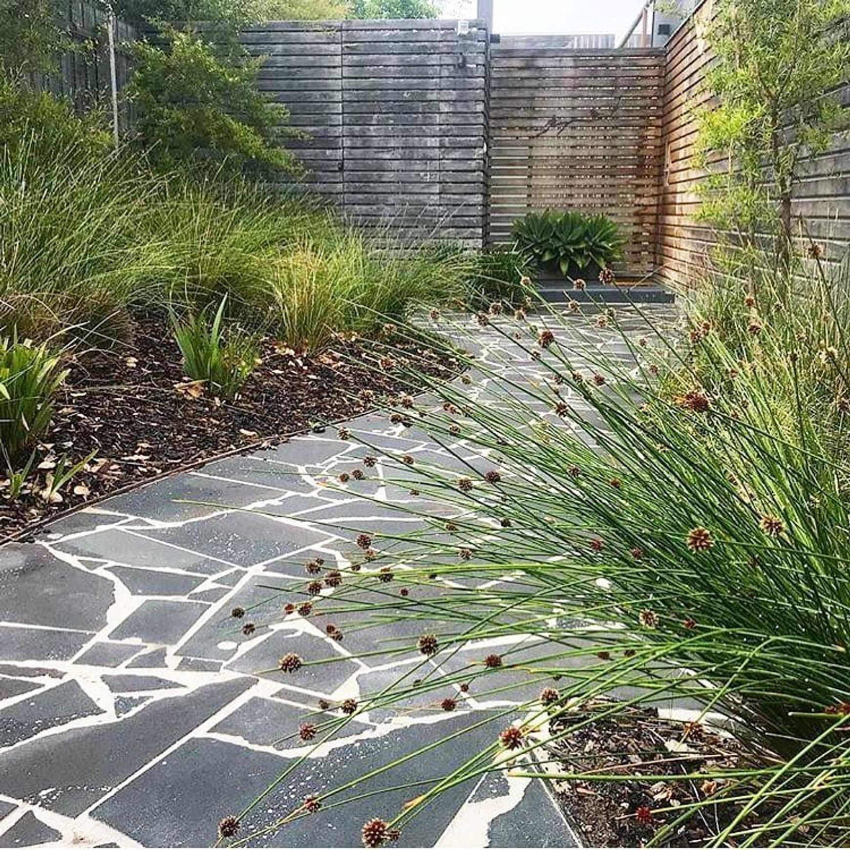 Premium Bluestone Crazy Paving