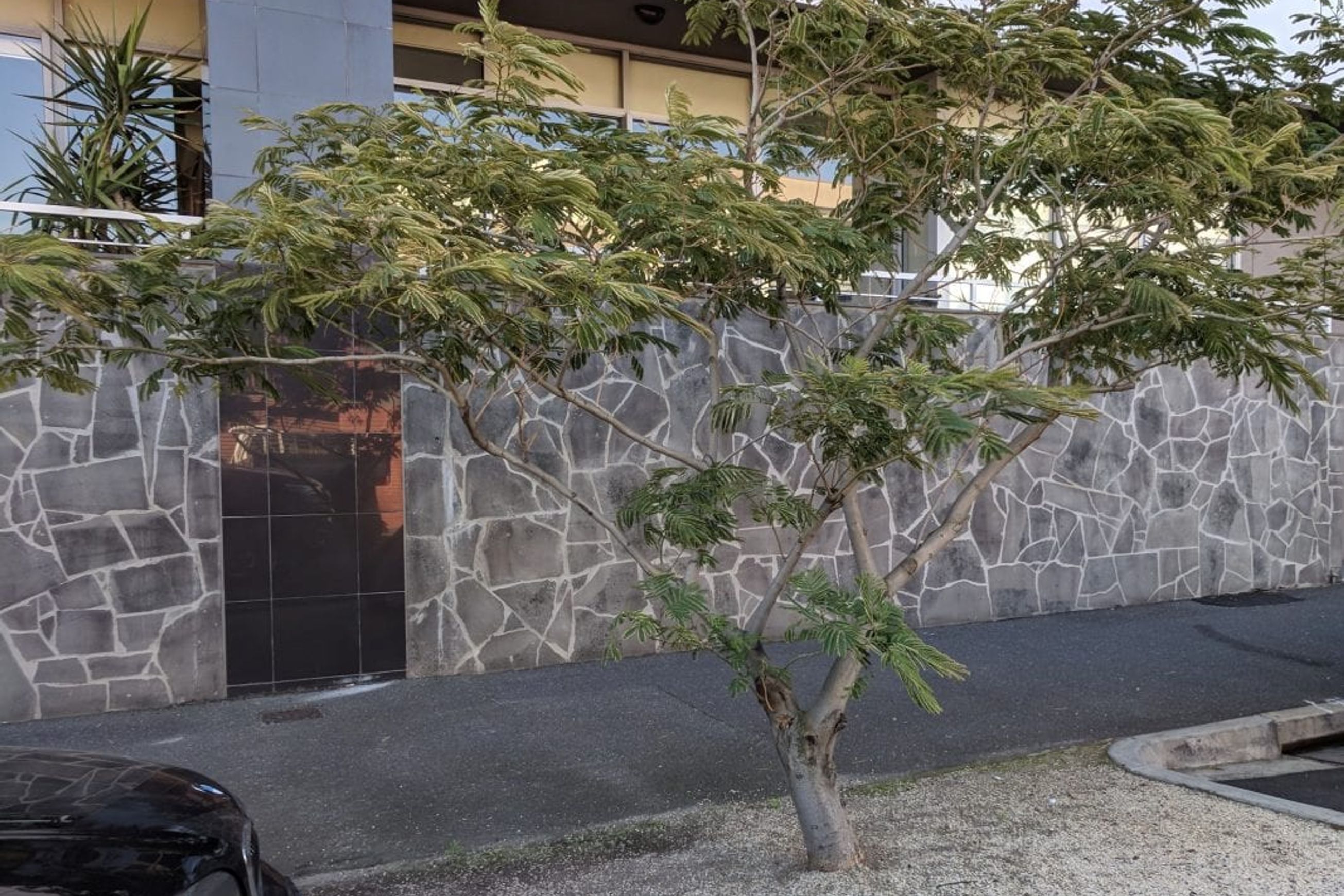 Premium Bluestone Crazy Paving