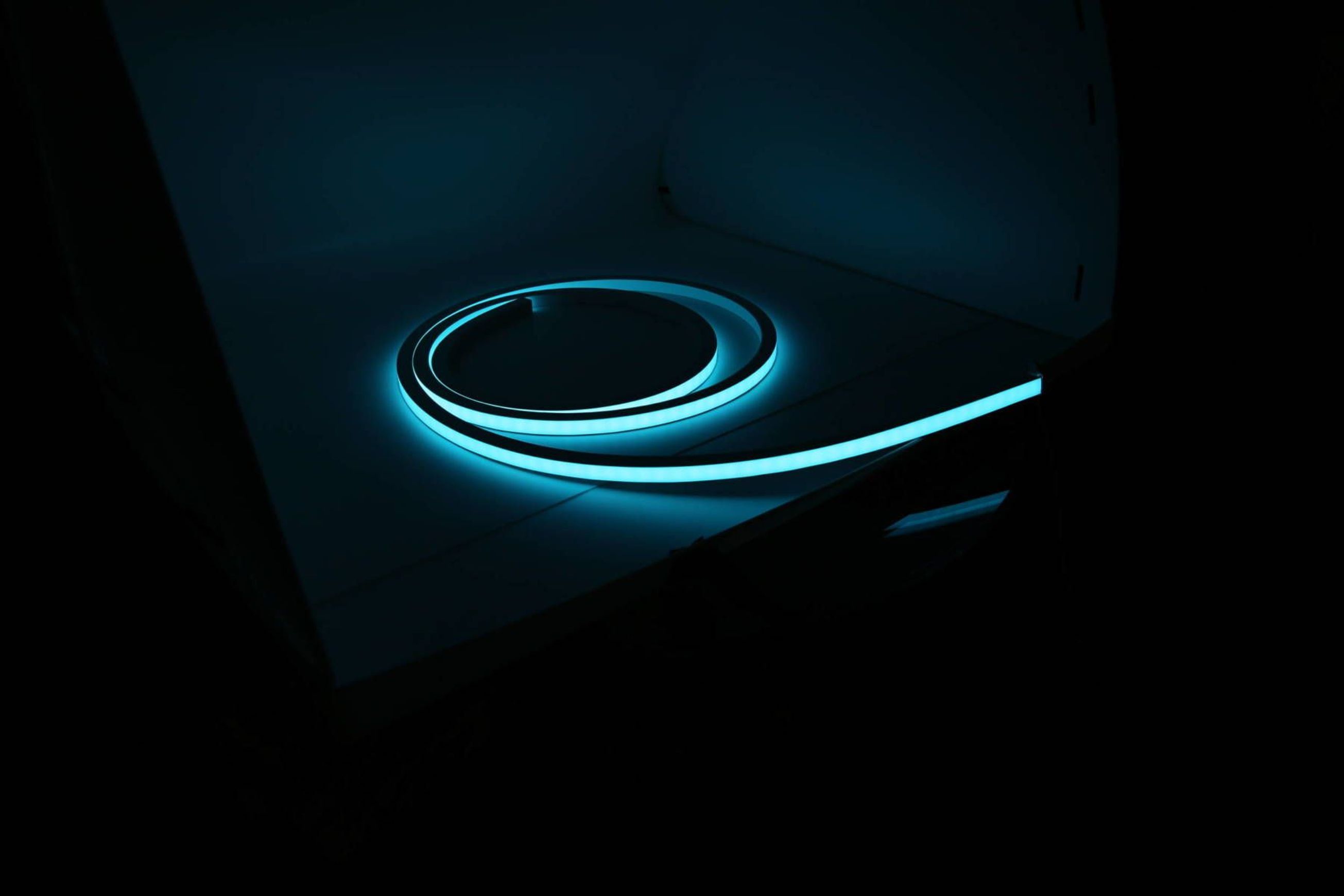 Mamba Snake Light