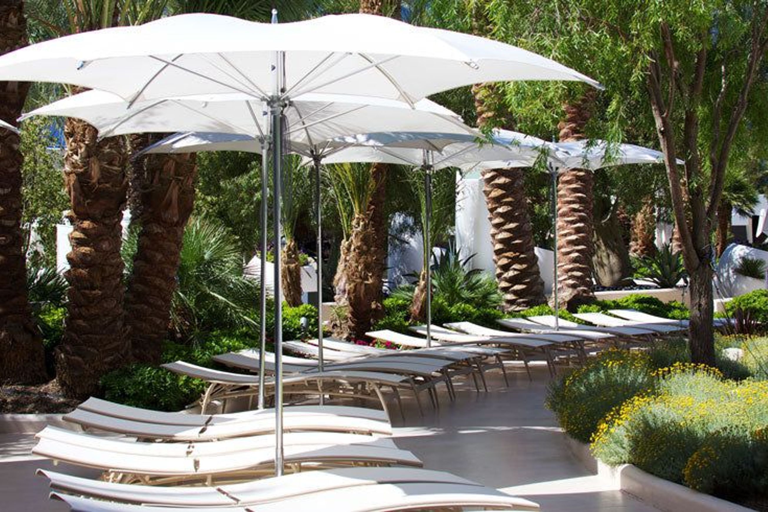 Tuuci Ocean Master Crescent Parasol
