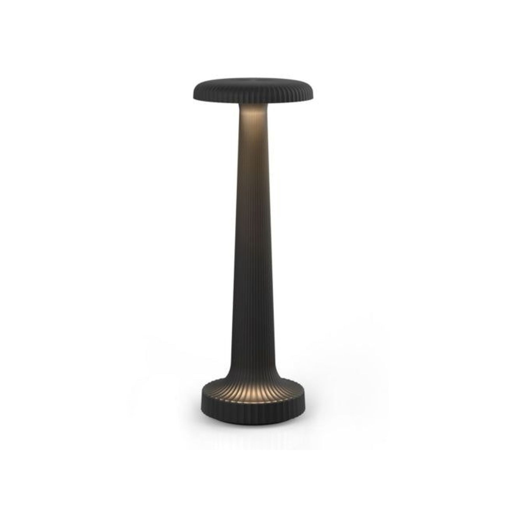 NEOZ Tall Poppy