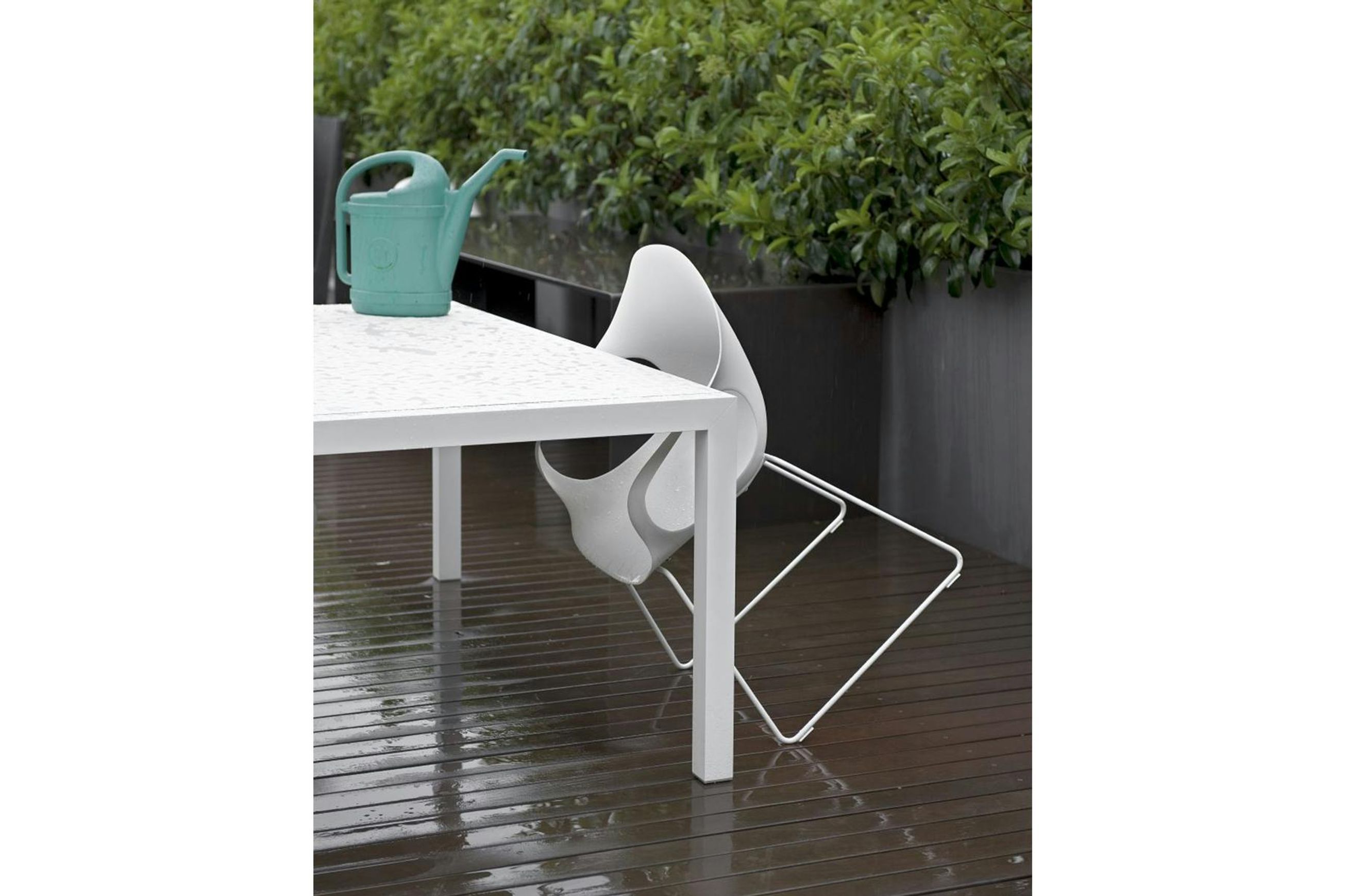 Elephant Slide Dining Chair