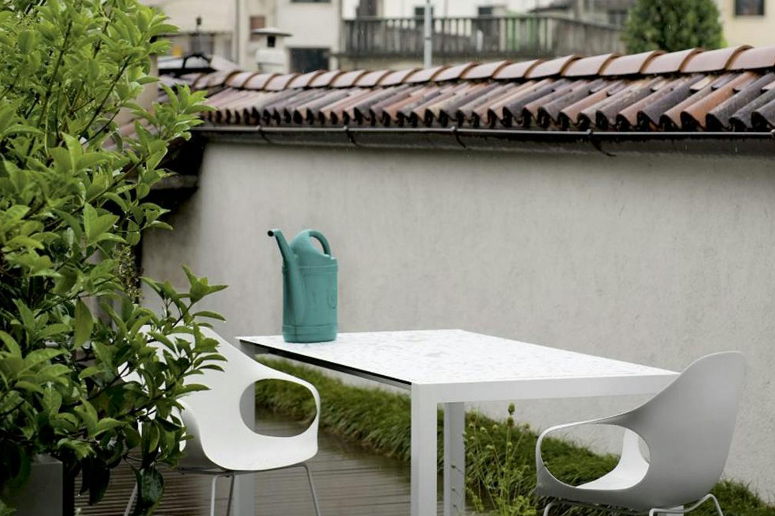 Elephant Slide Dining Chair