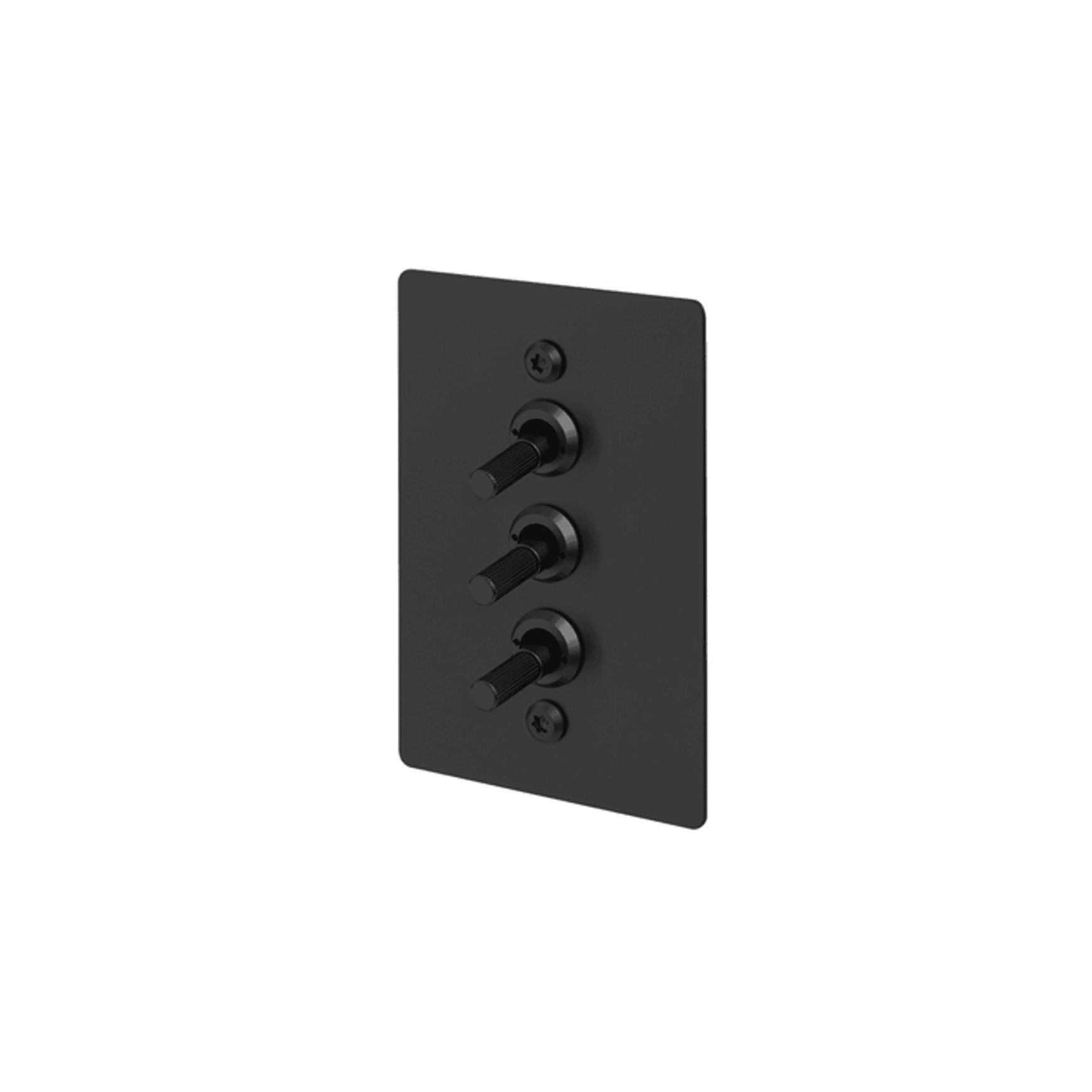 Buster + Punch 3G Toggle Vertical 2-Way Linear