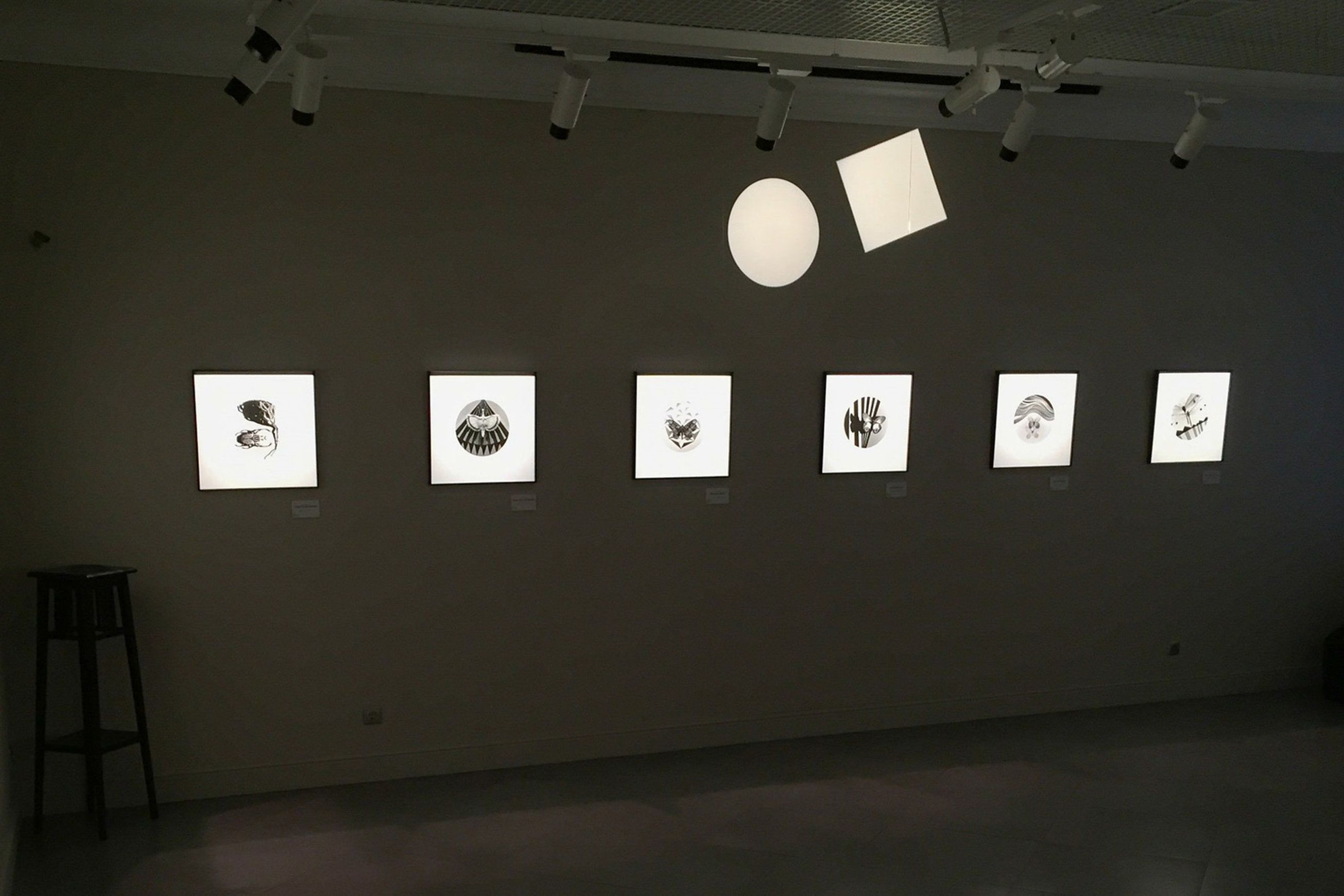 Palco Framer