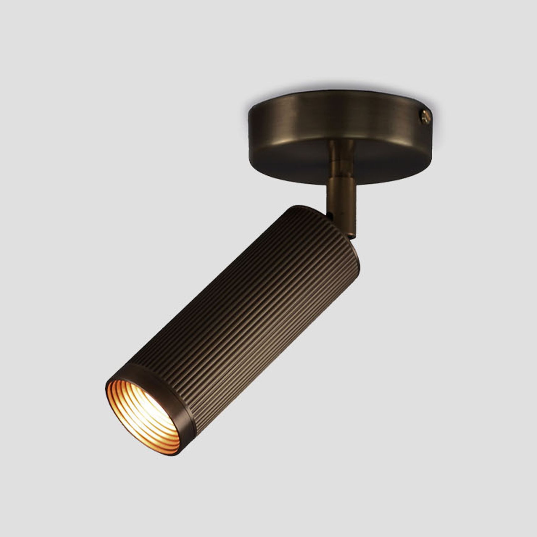 Spot Ceiling Light