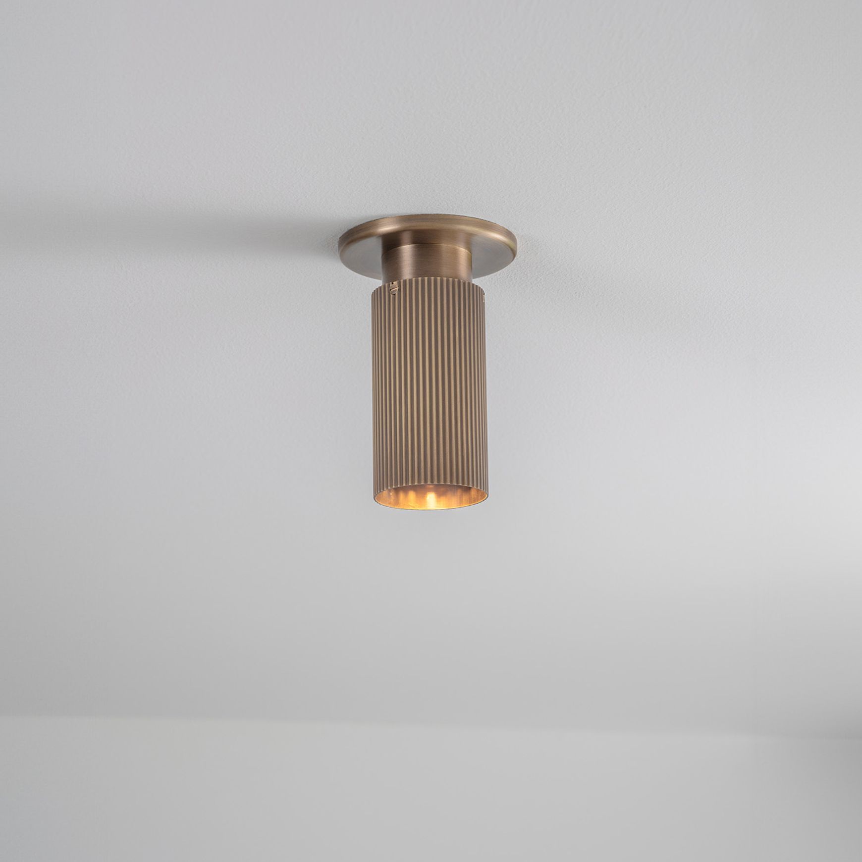 Spot Pro Mini Ceiling Light