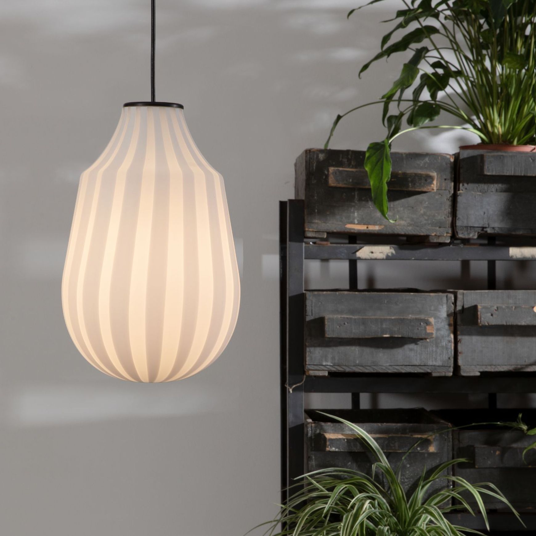 Circus Pendant Light