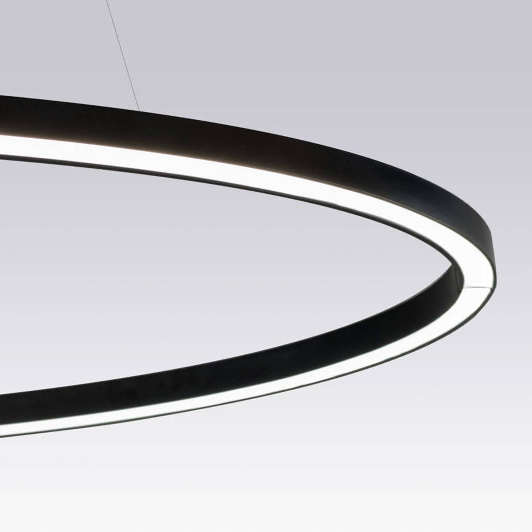 Ellisse Pendant Light