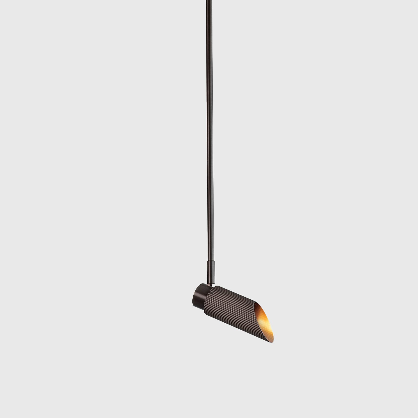 Spot Pro Ceiling Light