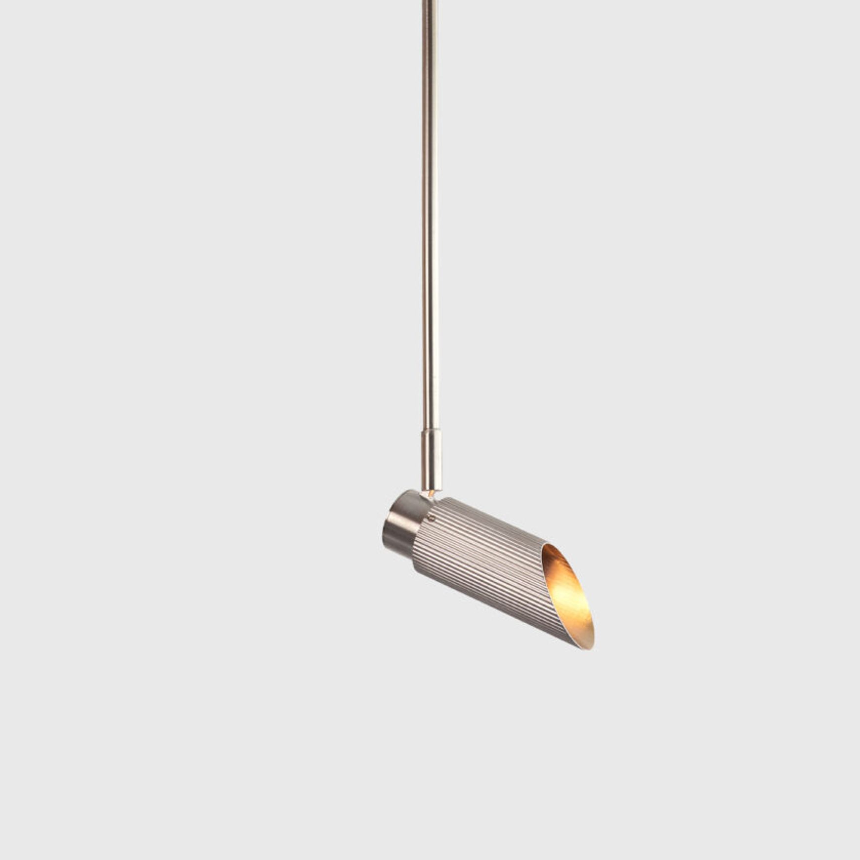 Spot Pro Ceiling Light