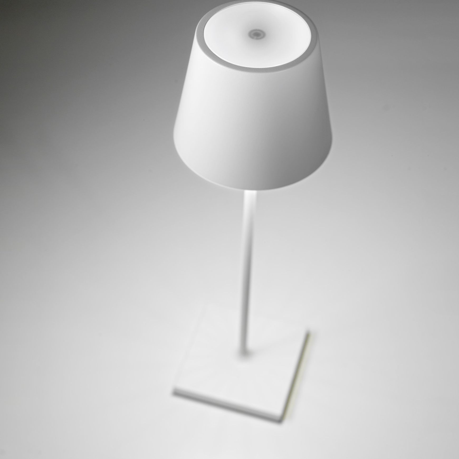 Poldina Table Lamp