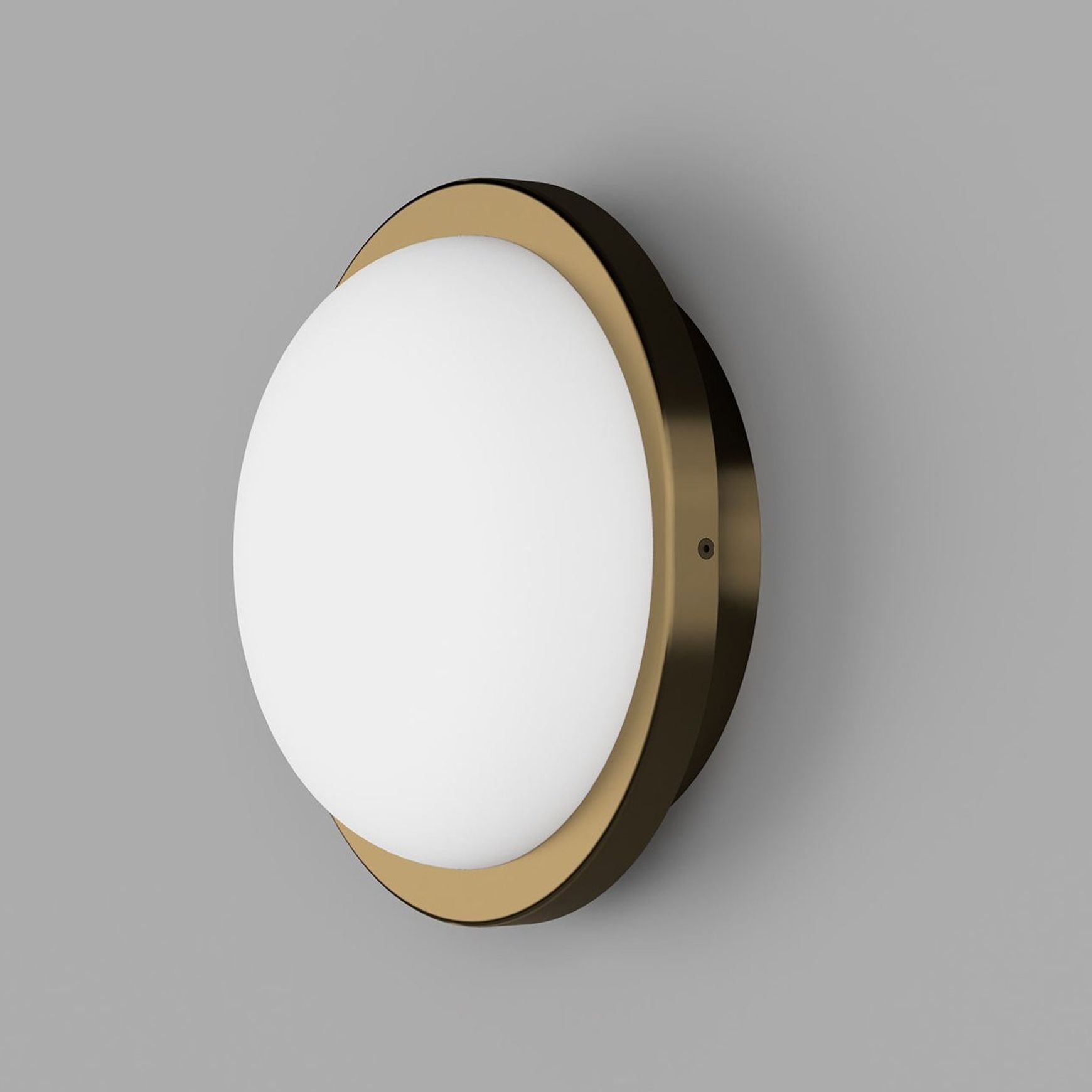 Bode Round Wall/Ceiling Light
