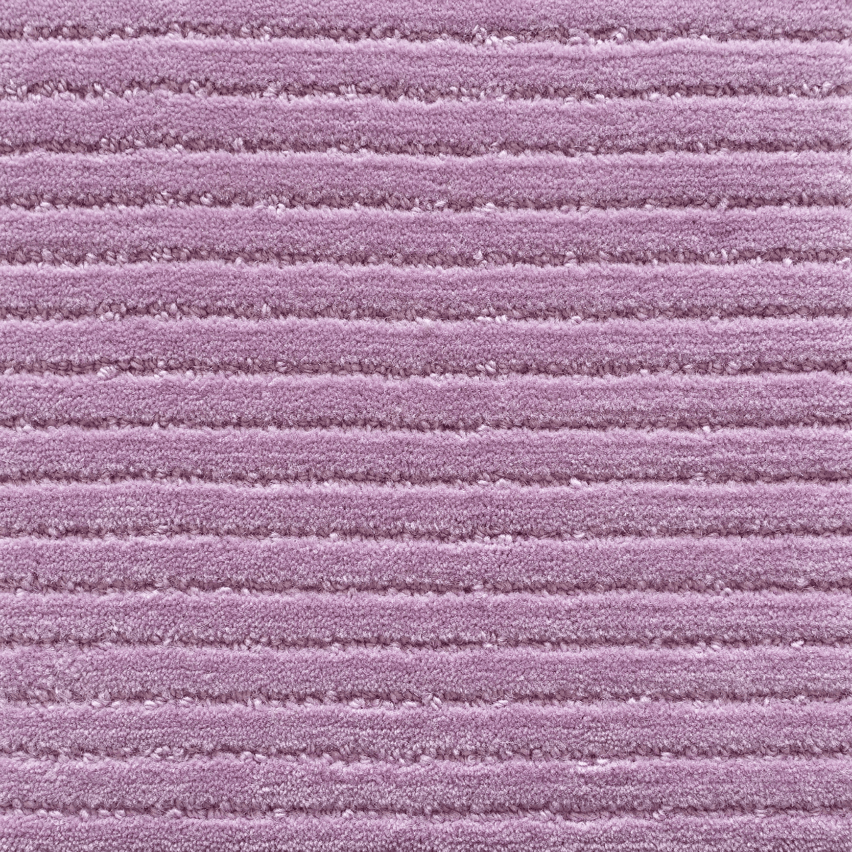 Tapis Row 2