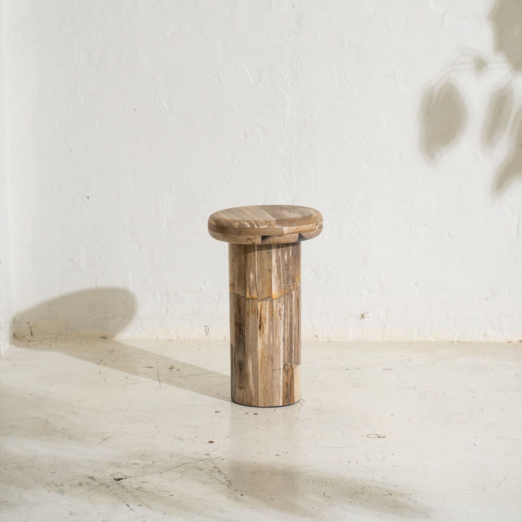 Sia Petrified Wood Side Table