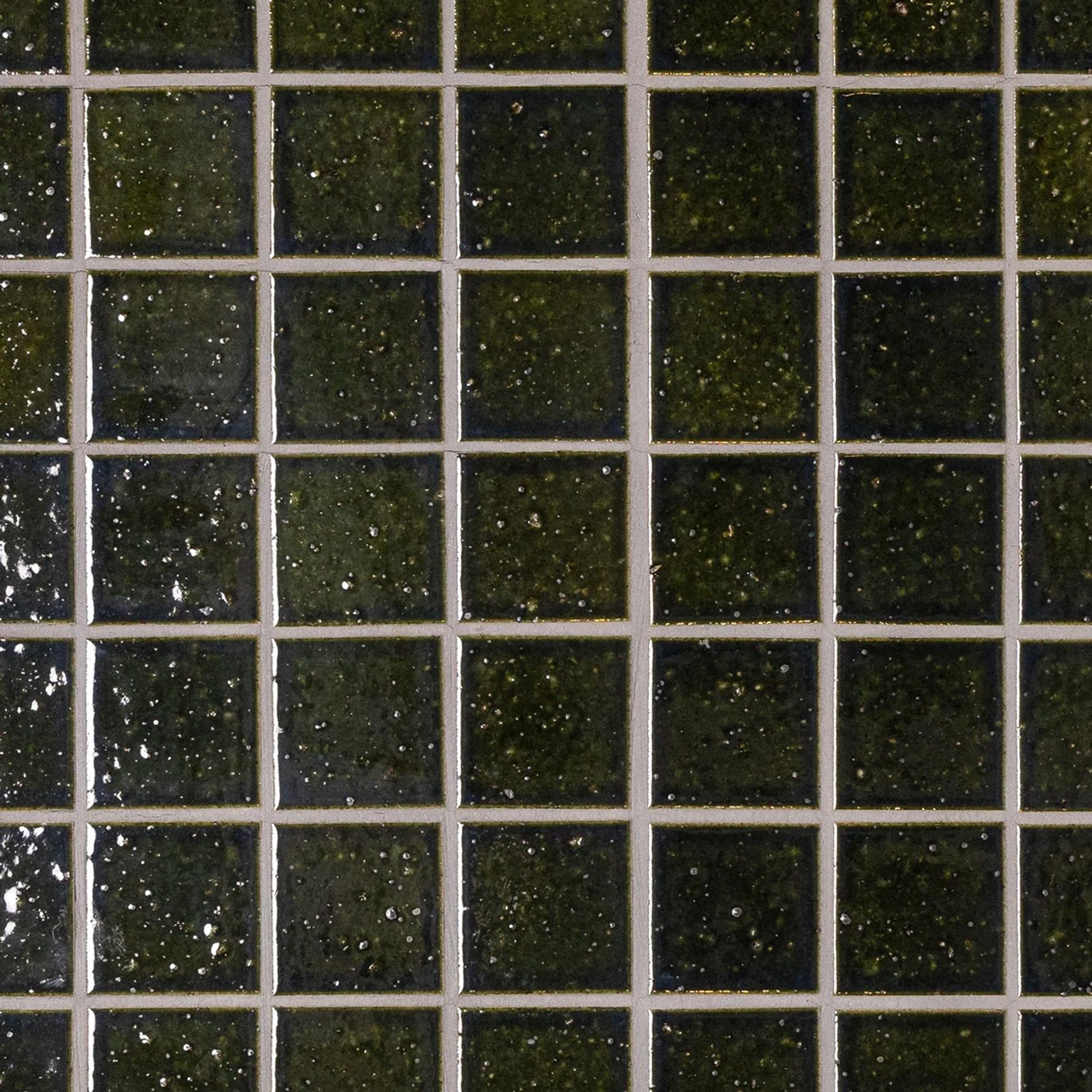 Fuuga Square Seaweed