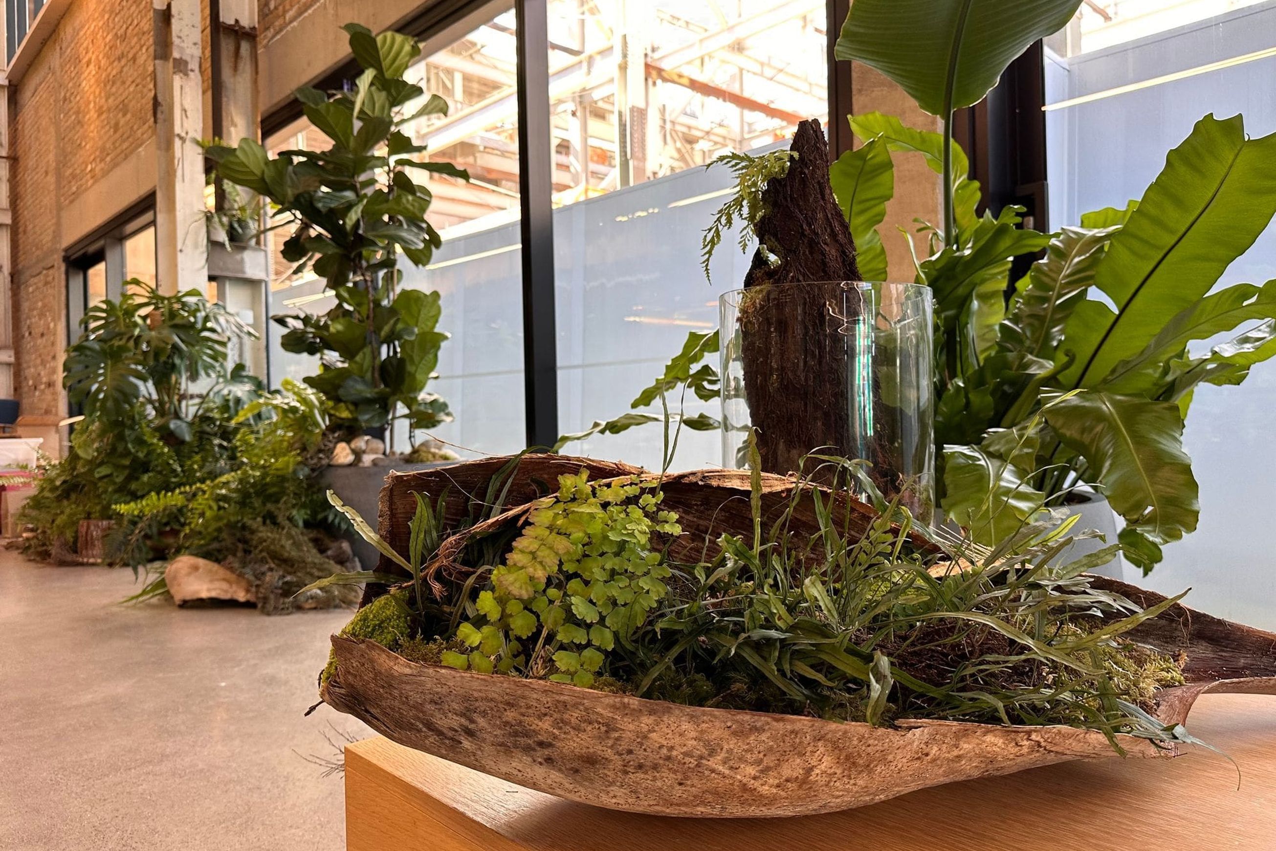 Short-Term Plant Hire for Events | GreenAir