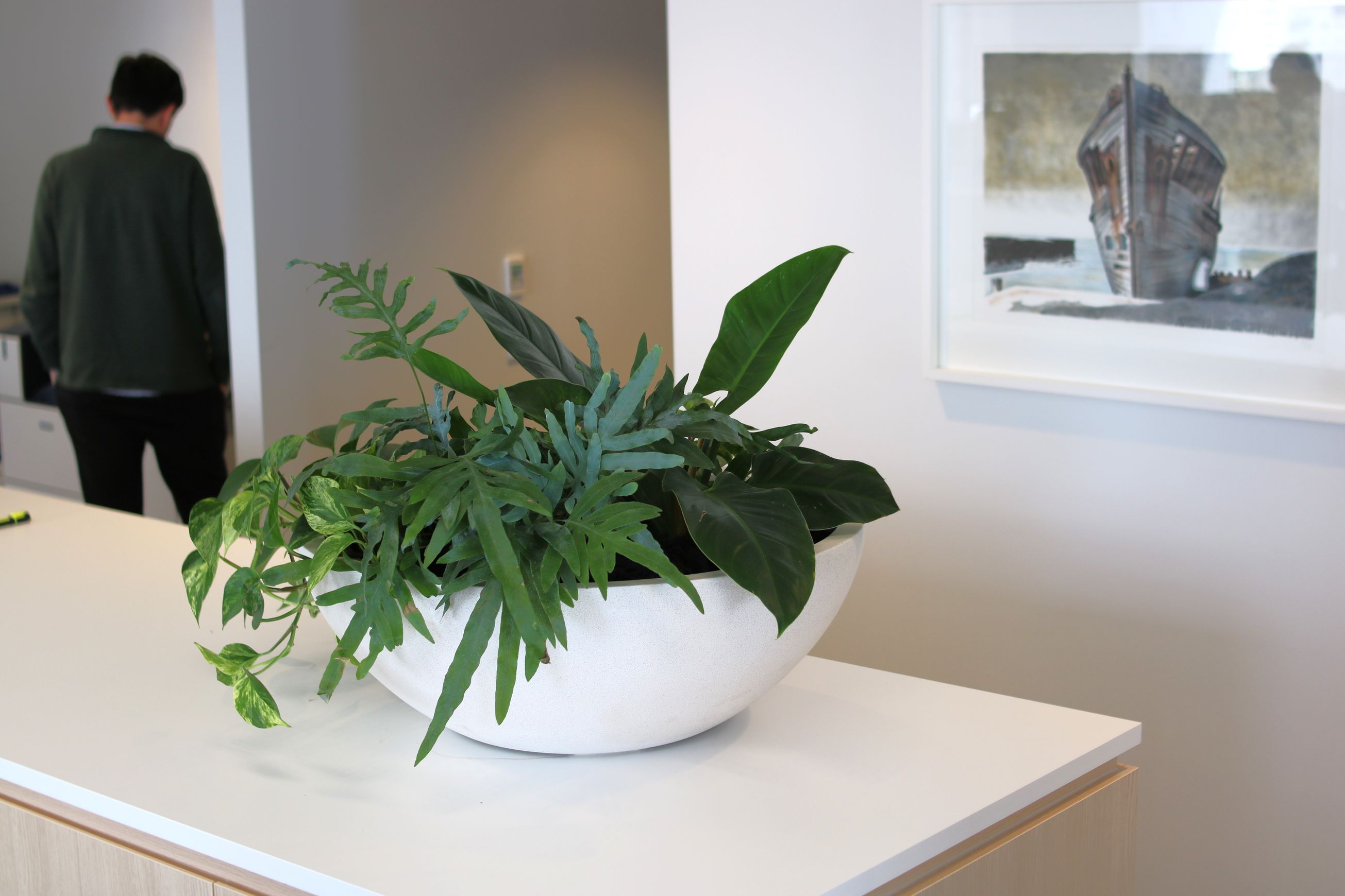 Garden Bowls | Hire Plants