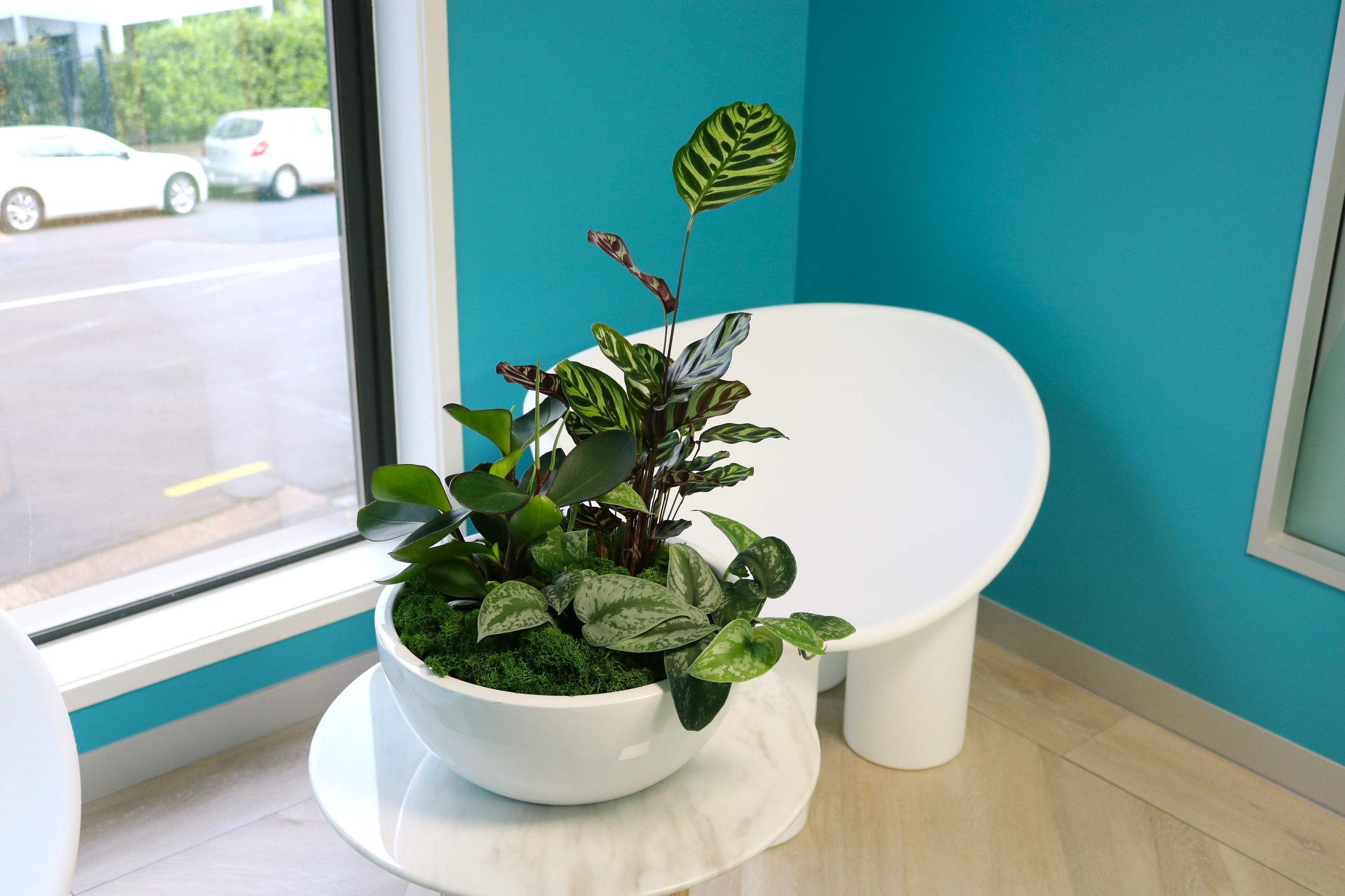 Garden Bowls | Hire Plants