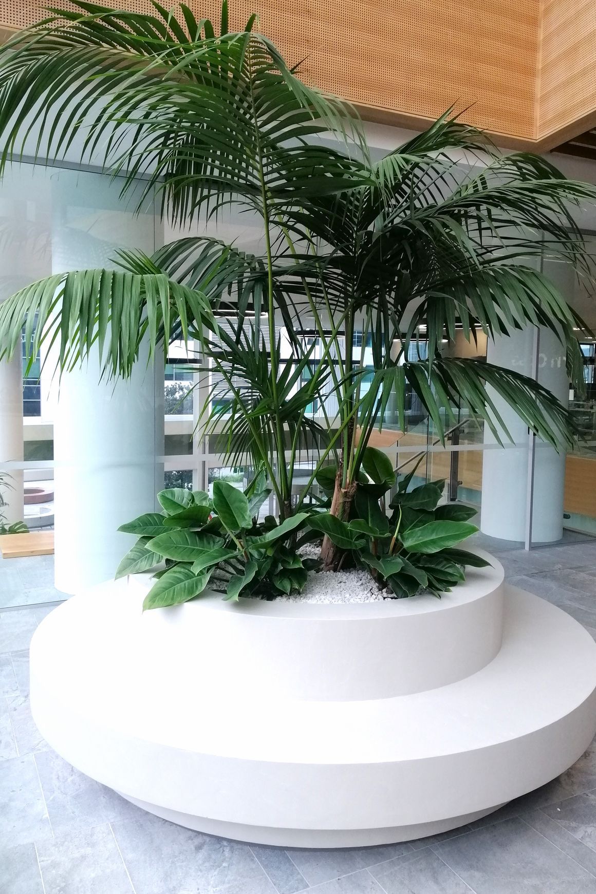 In-Built Gardens | Hire Plants