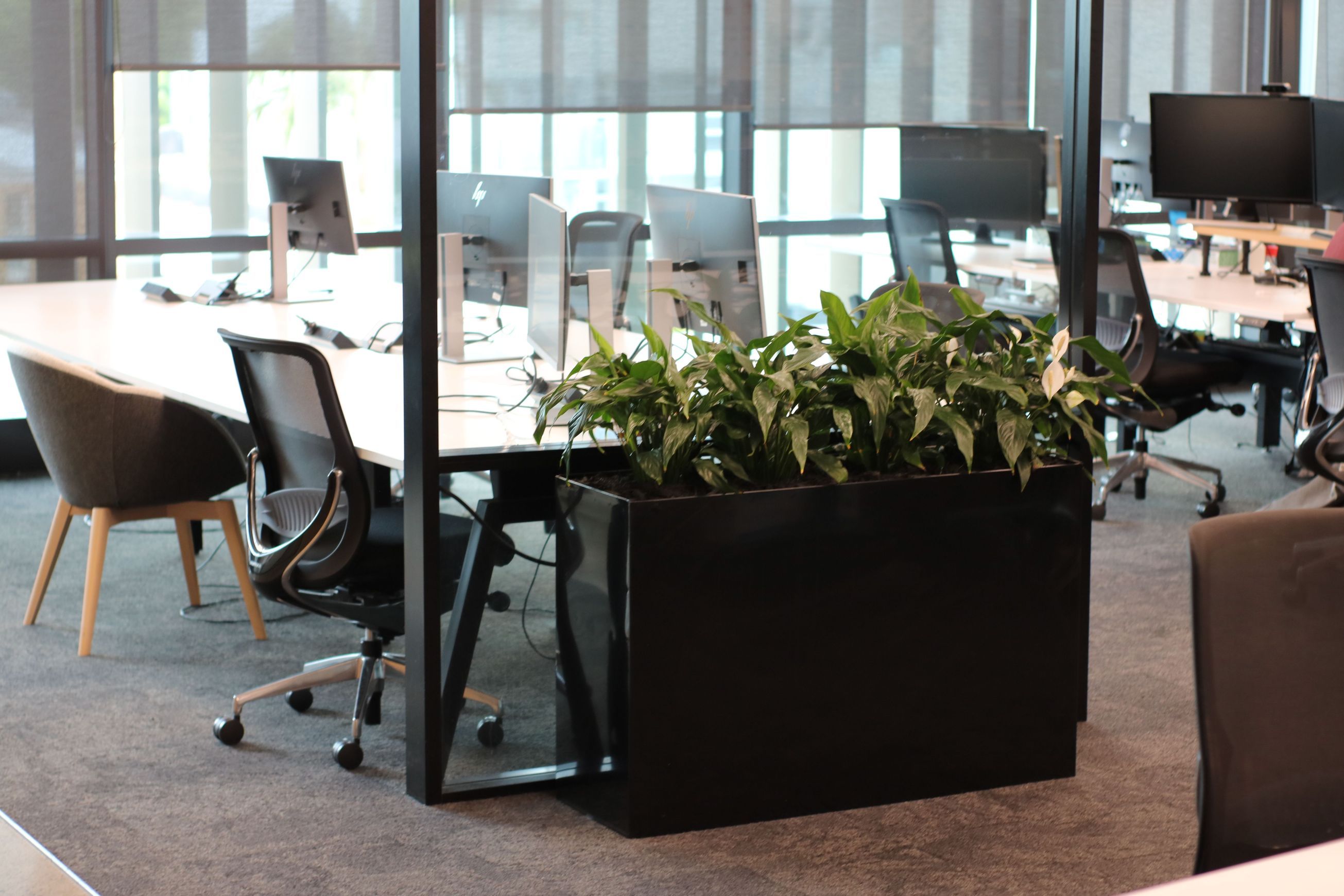 Screening Solutions | Hire Plants