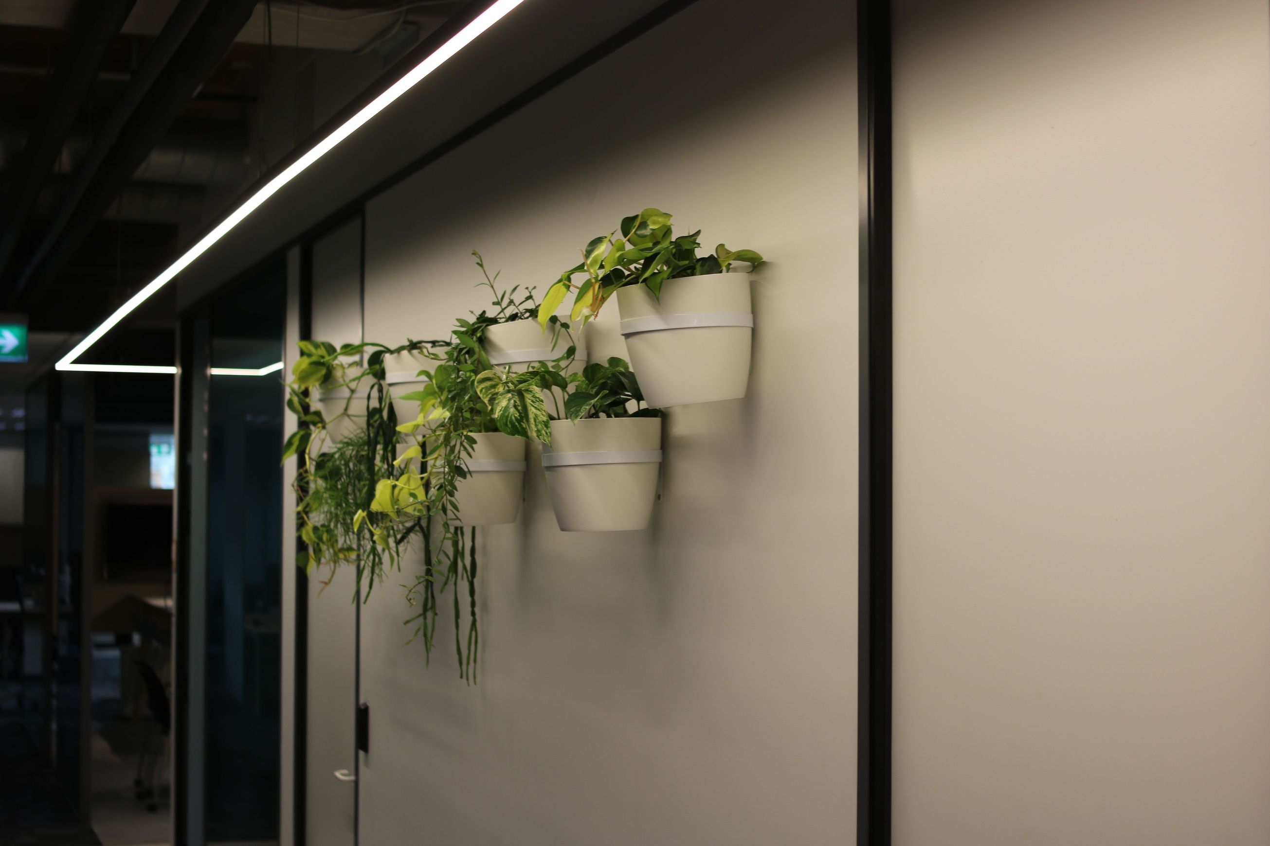 Plant Brackets | Hire Plants