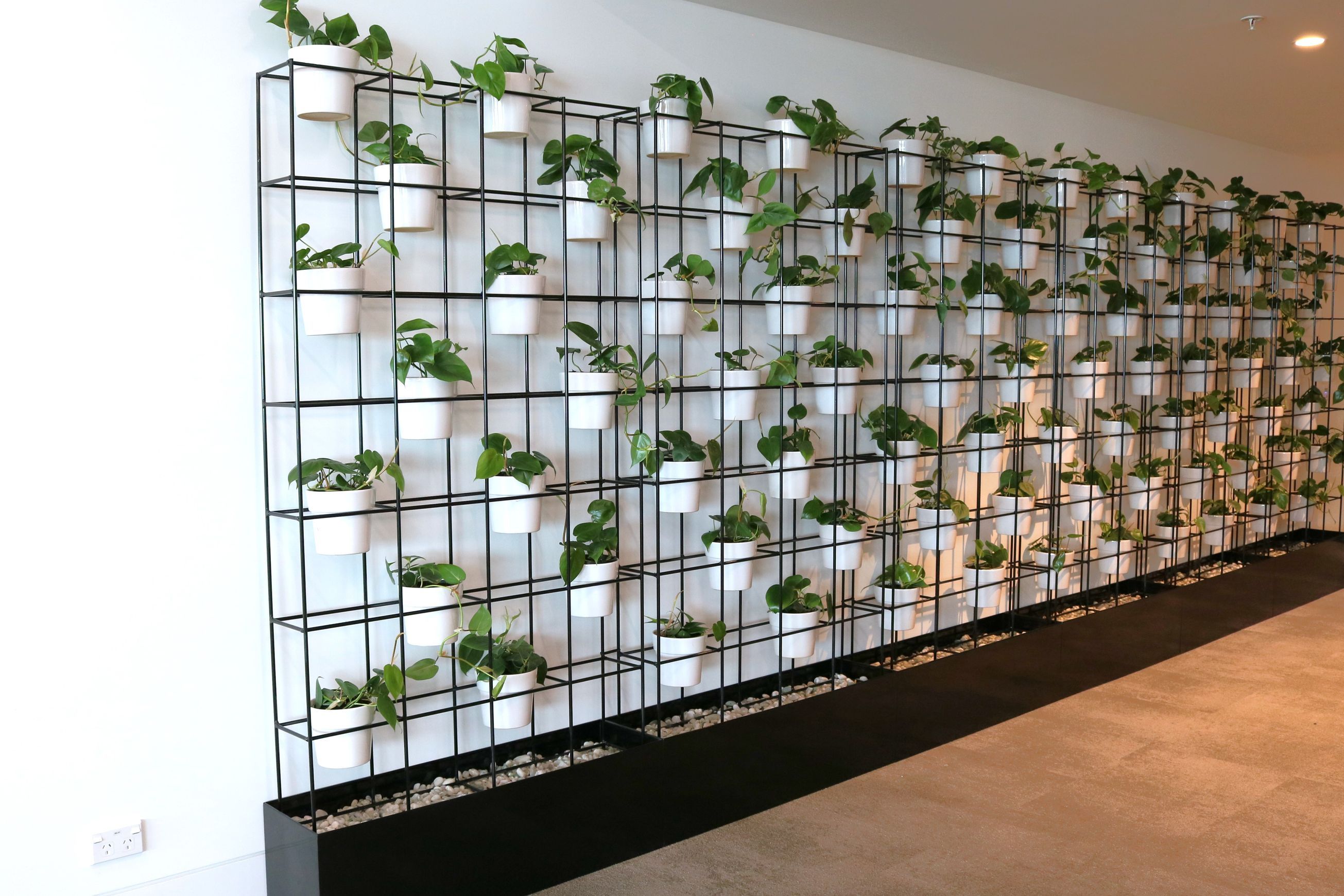 Screening Solutions | Hire Plants