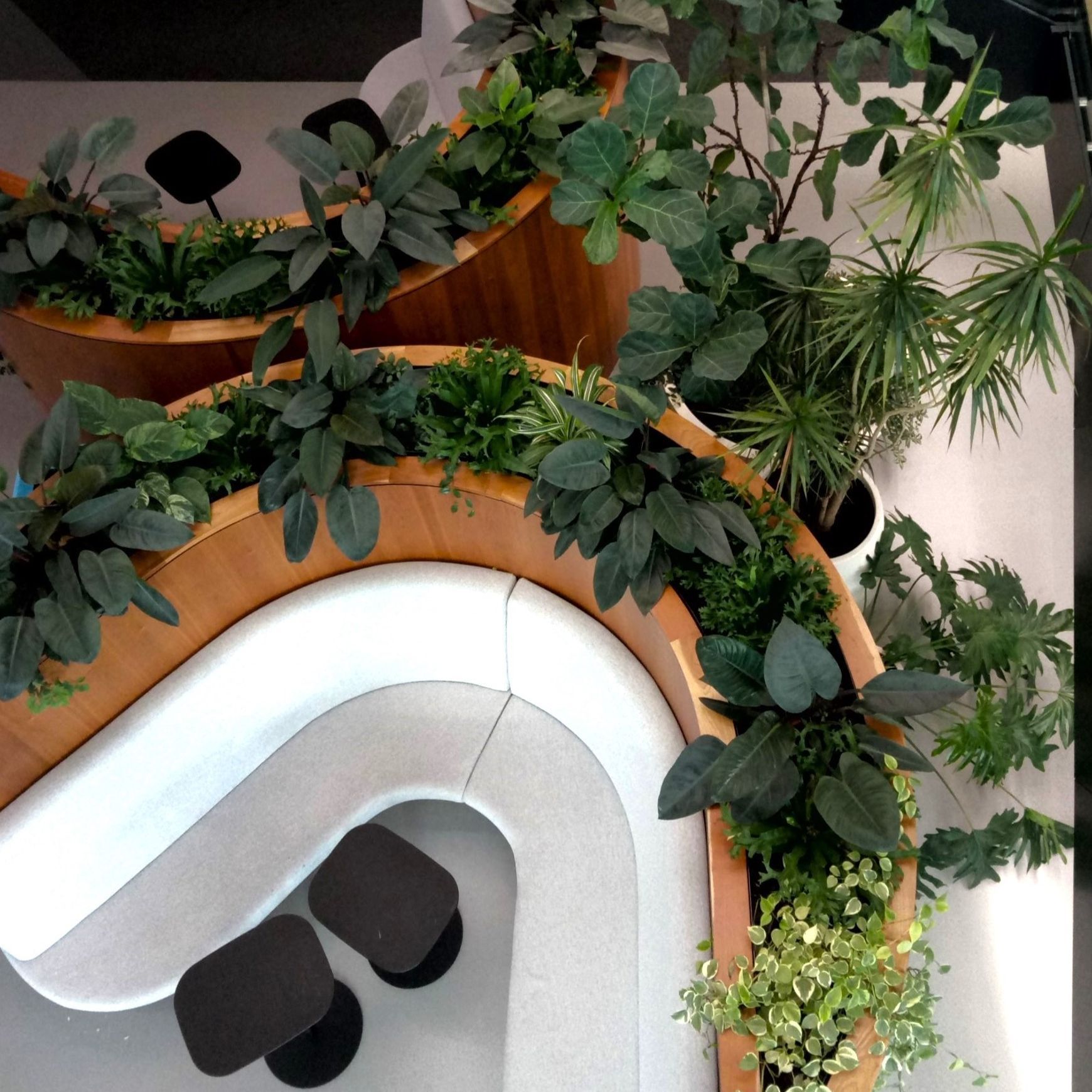 In-Built Gardens | Hire Plants