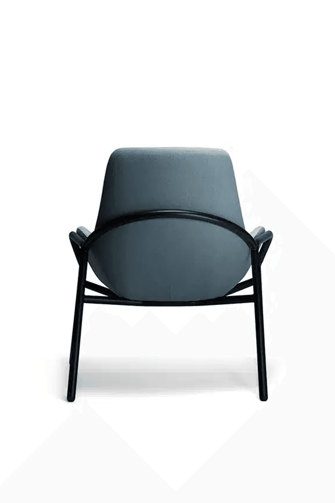 Mobili Bariatric 5