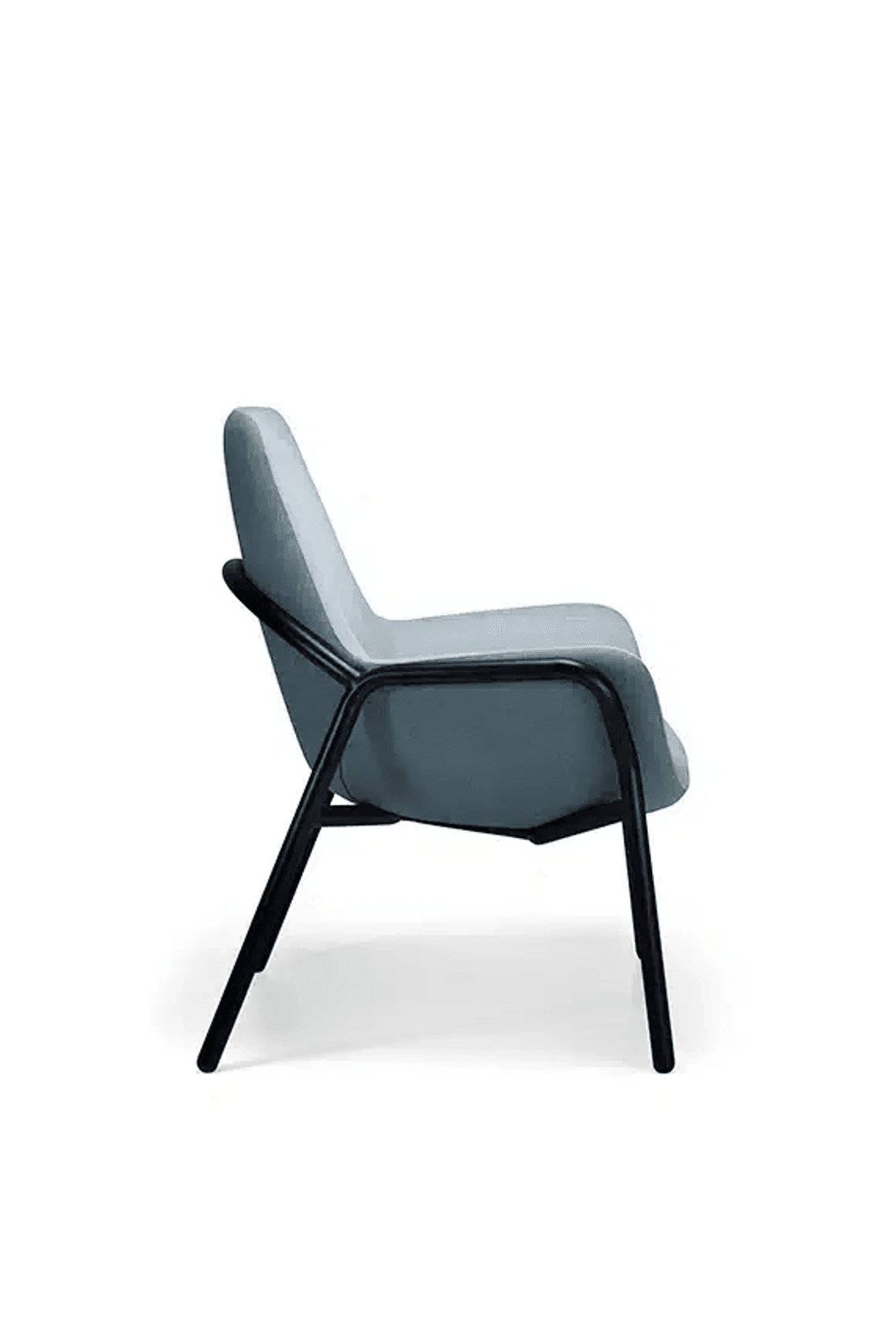 Mobili Bariatric 5