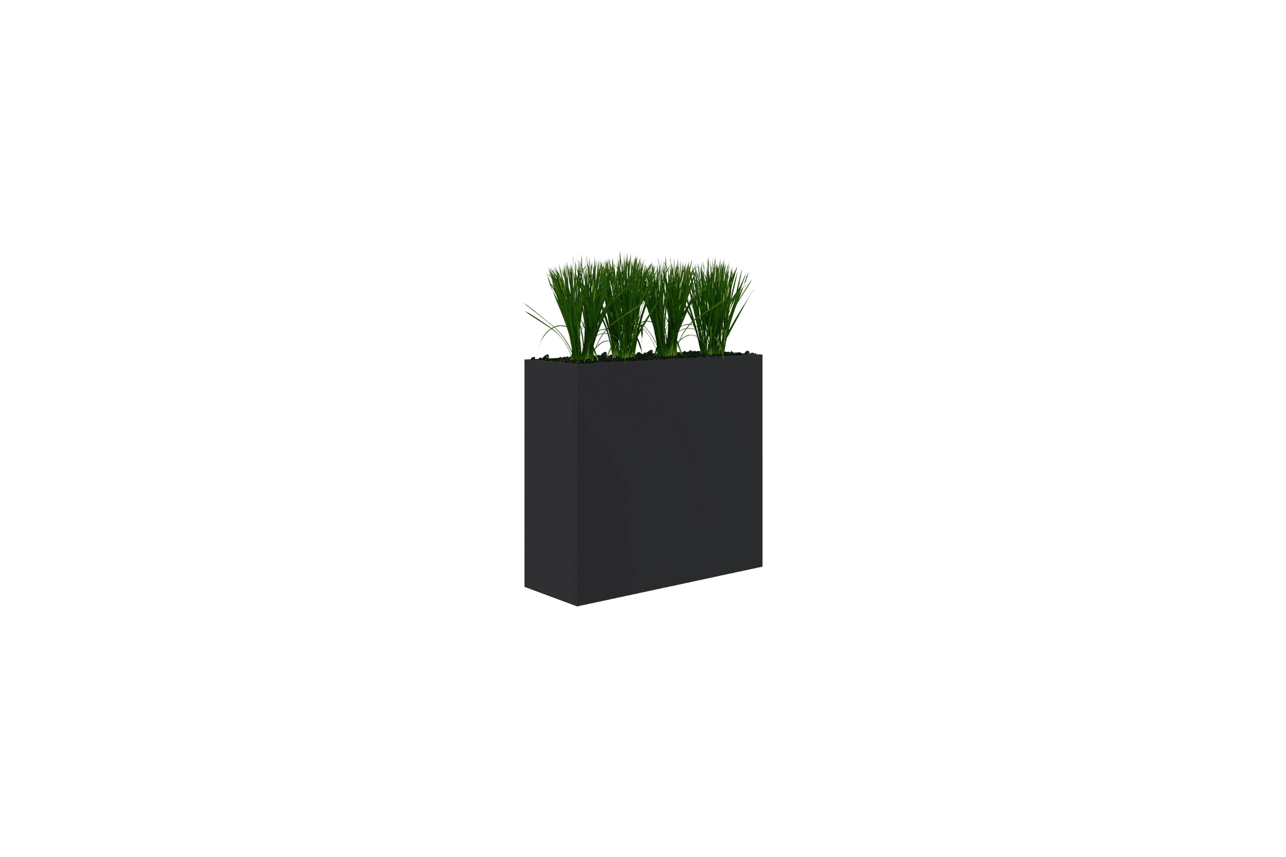 Rapid Planter