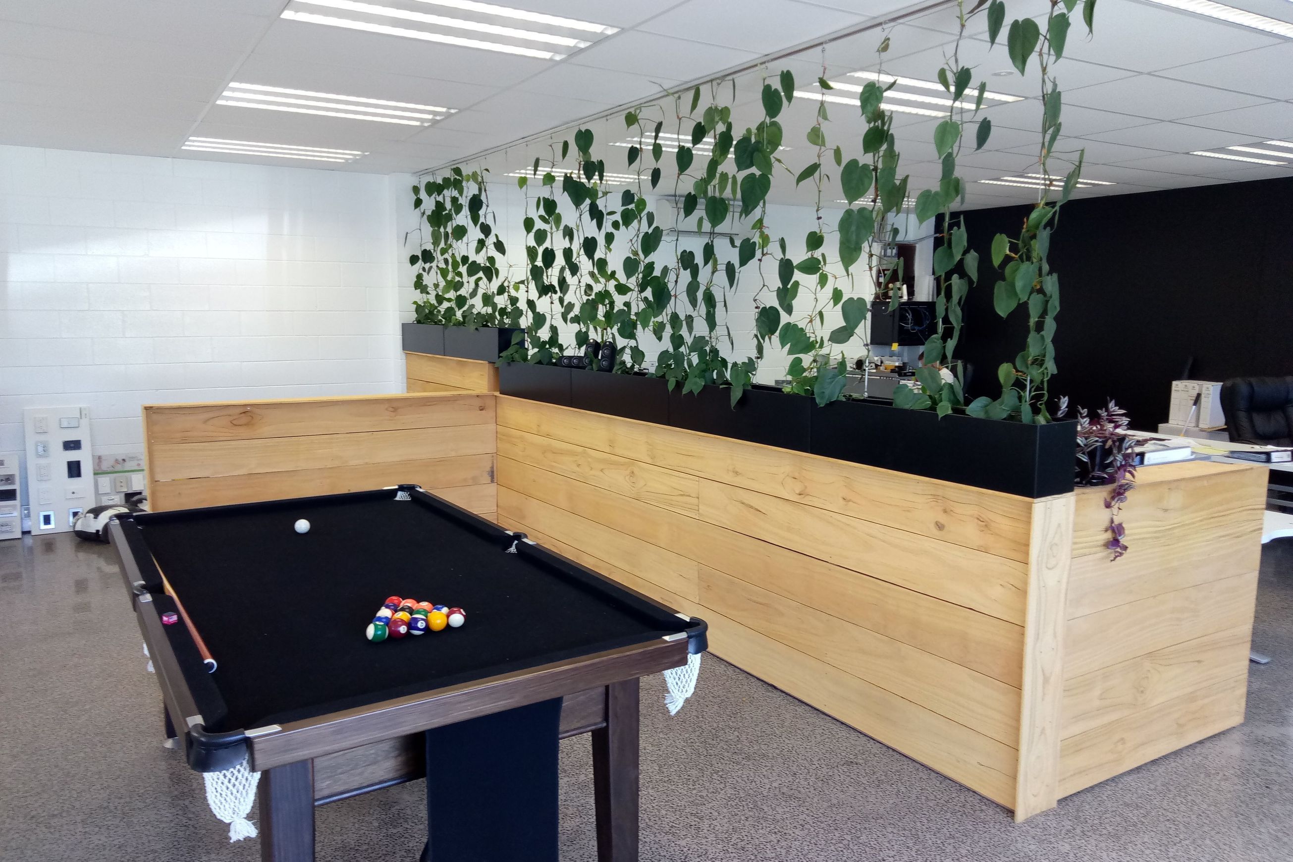 Plant Installations On Wires | Hire Plants