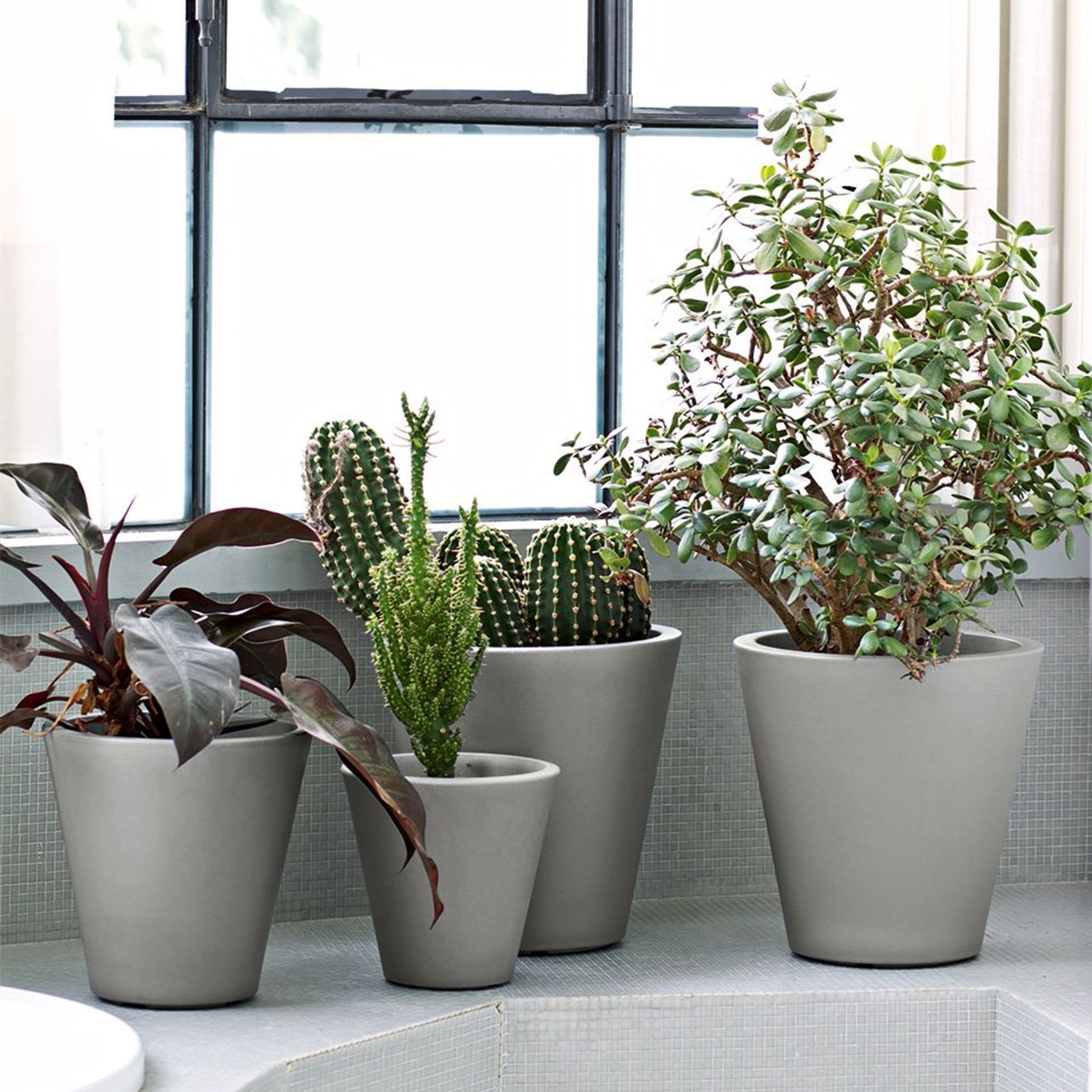 New Pot | Pots