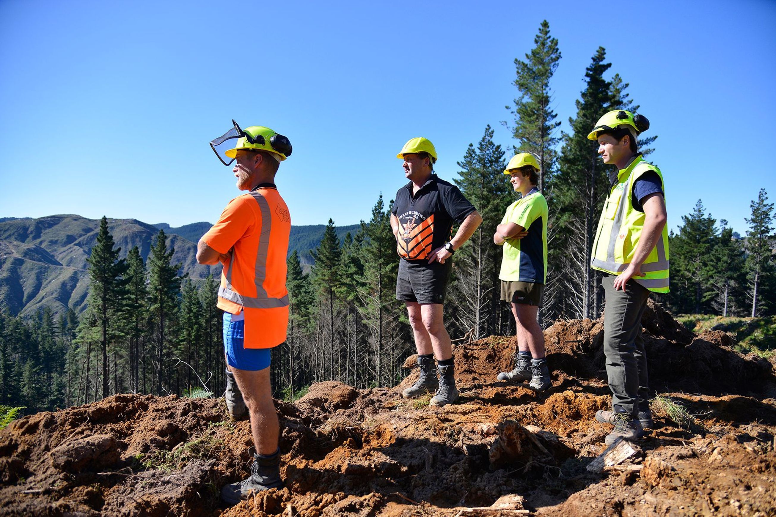 Forestry | Premium Wood Solutions