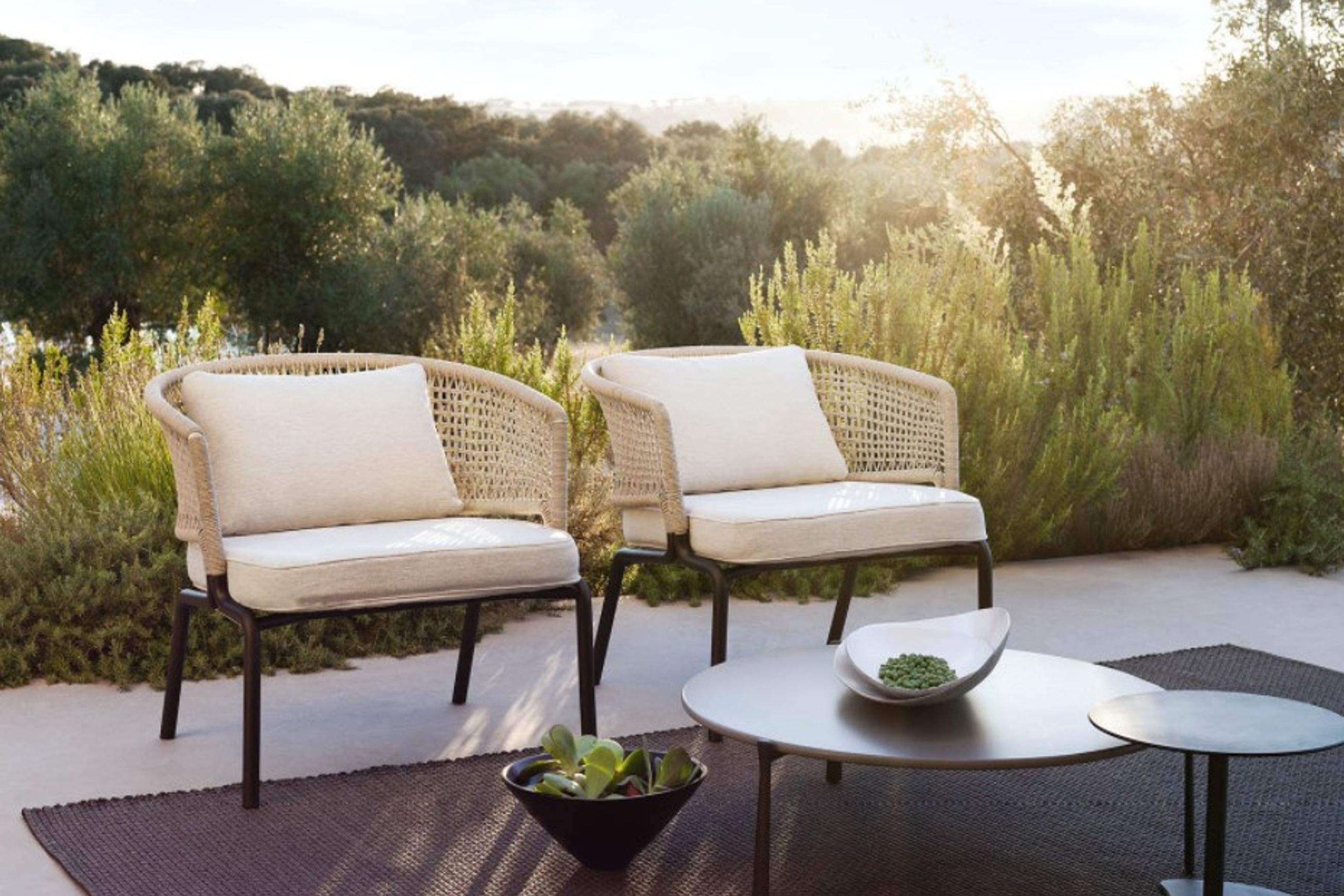 CTR Club Chair by Tribu