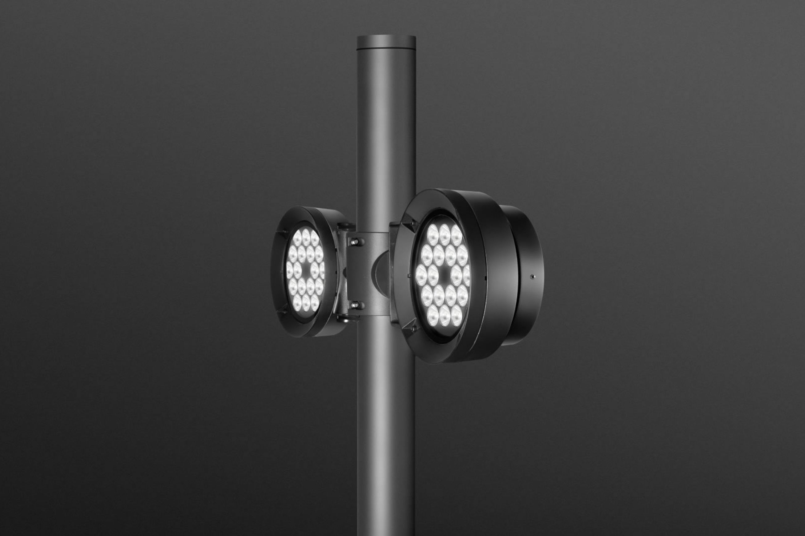 Pointer Pole Mounted